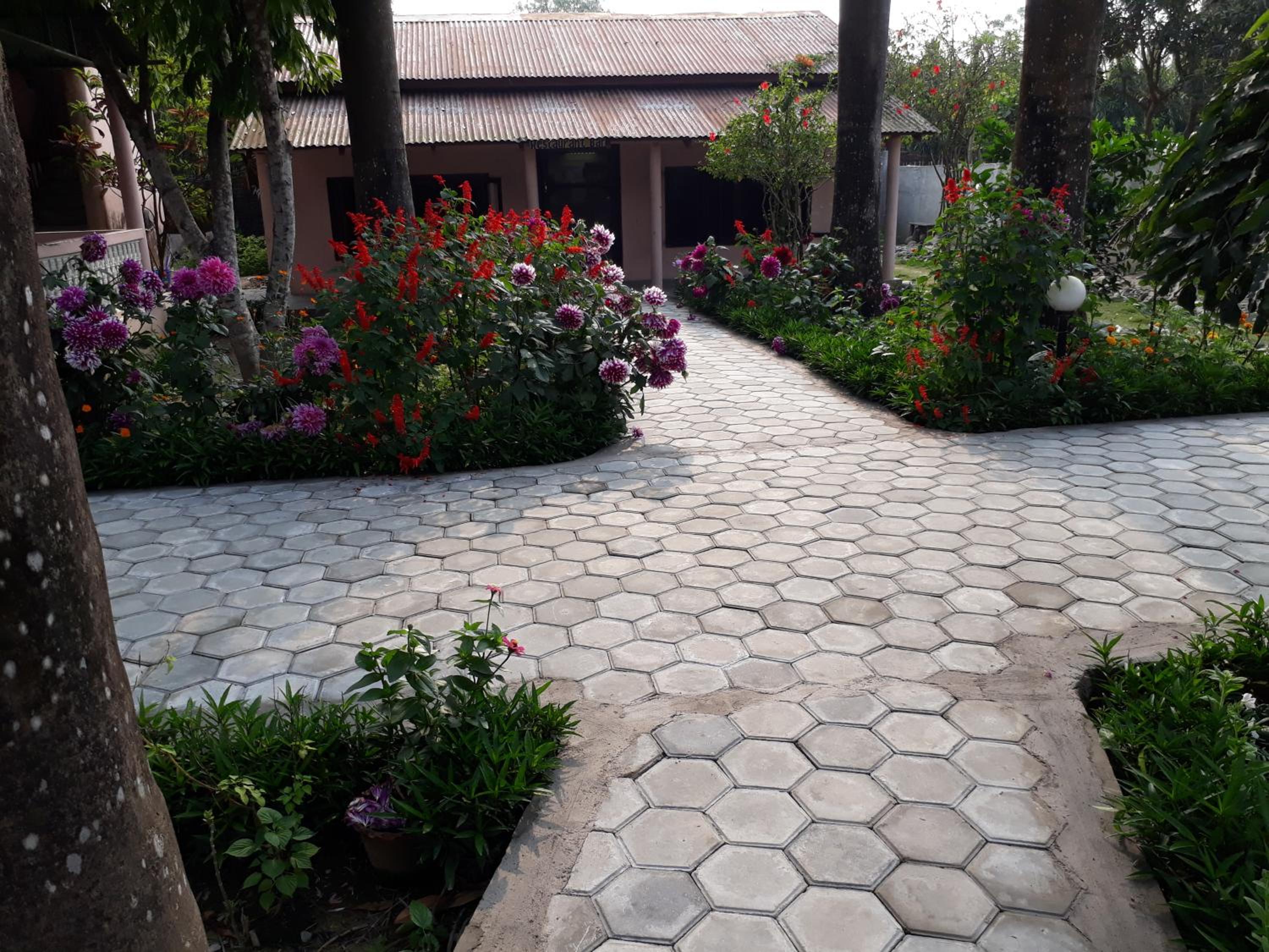 Sauraha Resort