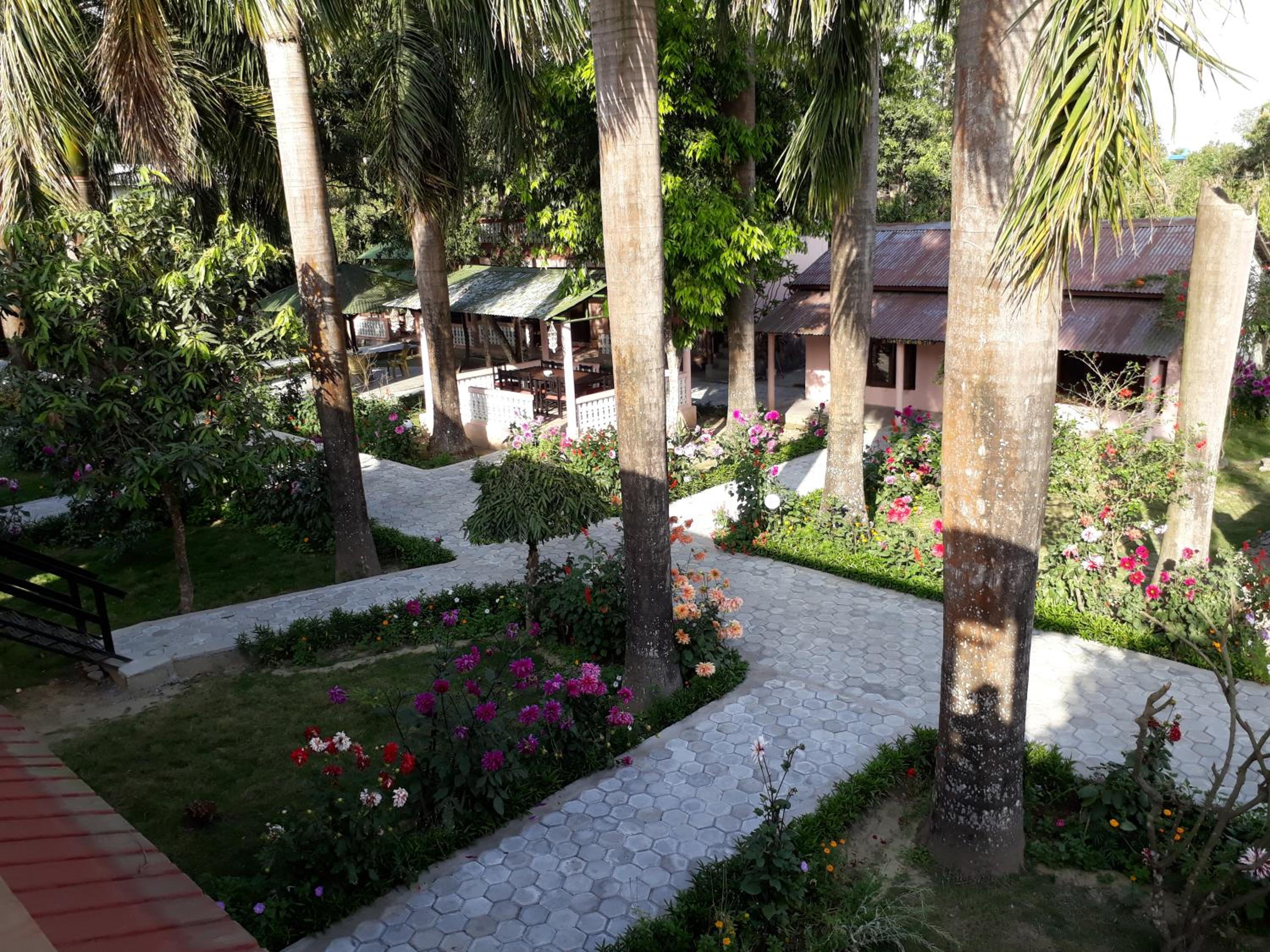 Sauraha Resort