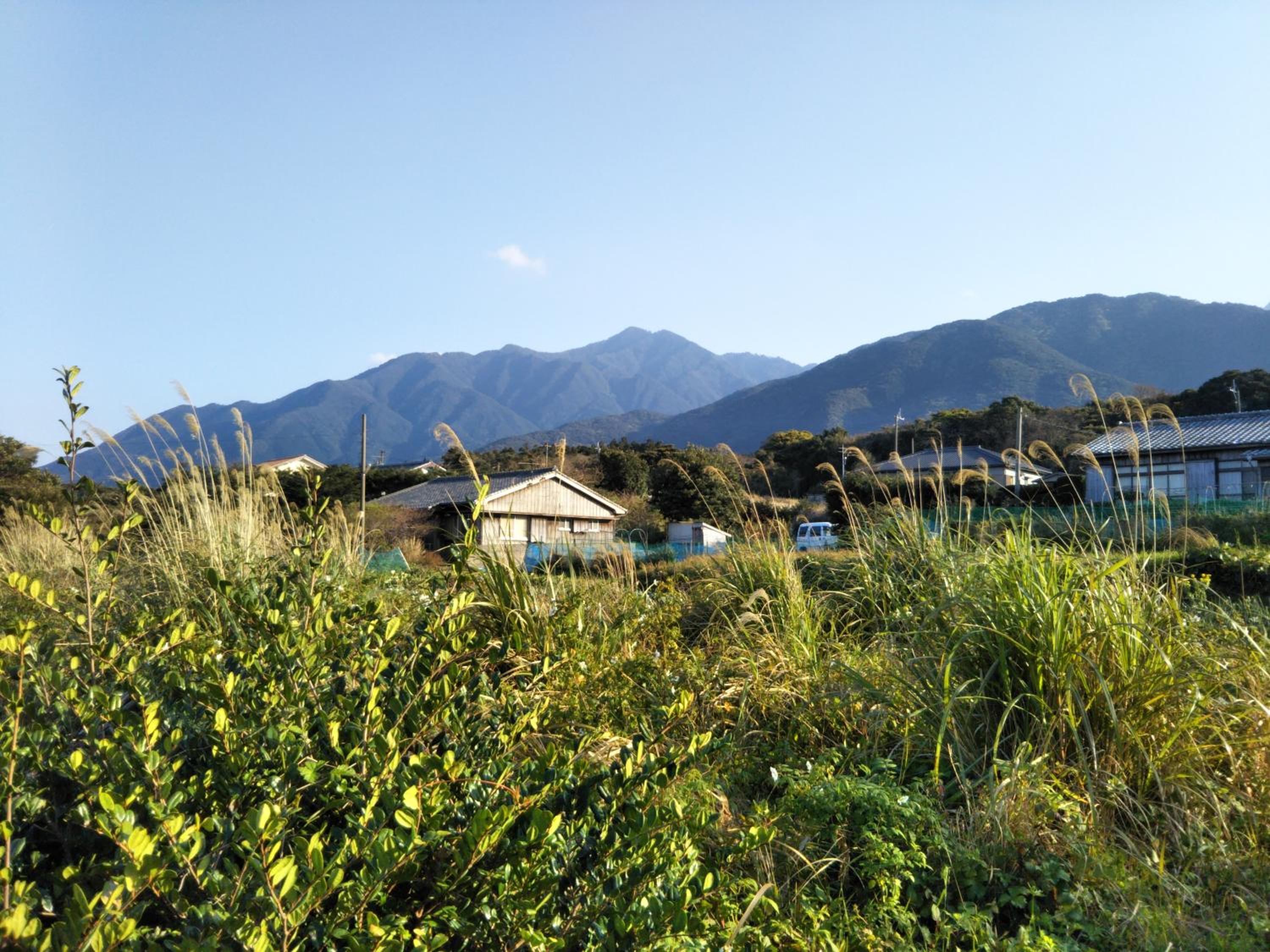 Cottage Yakusugi House