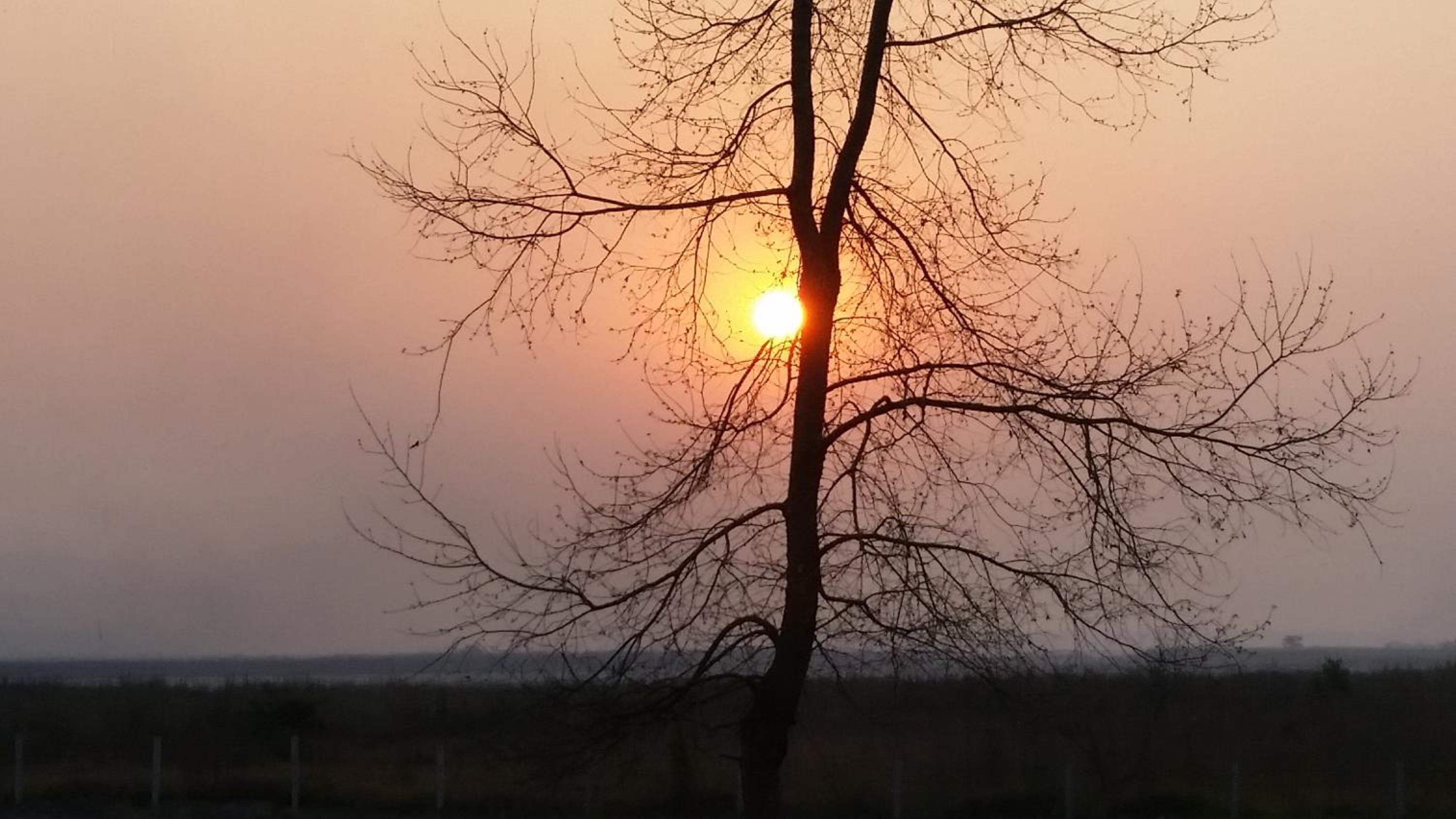 Nana Jungle Resort Near Chitwan National Park