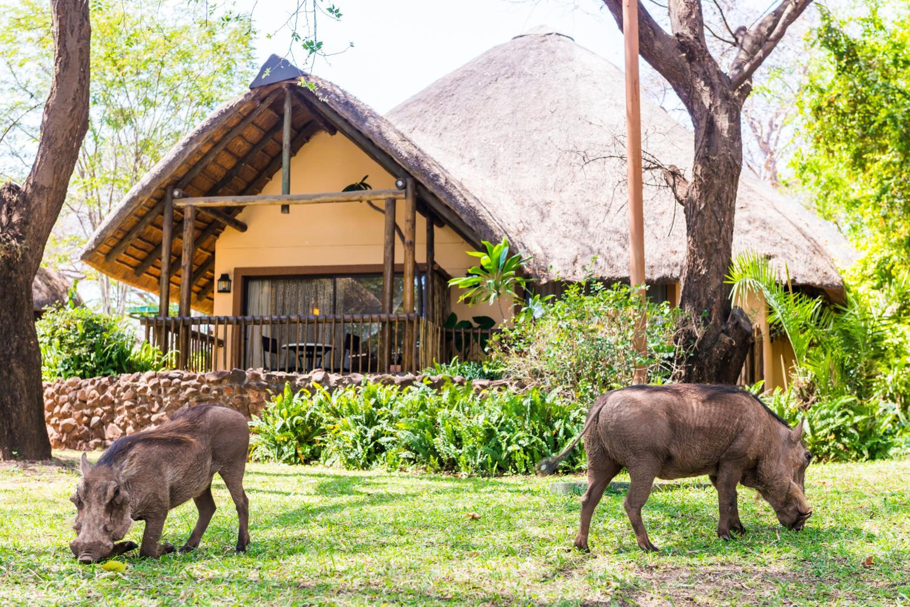 Chobe Marina Lodge