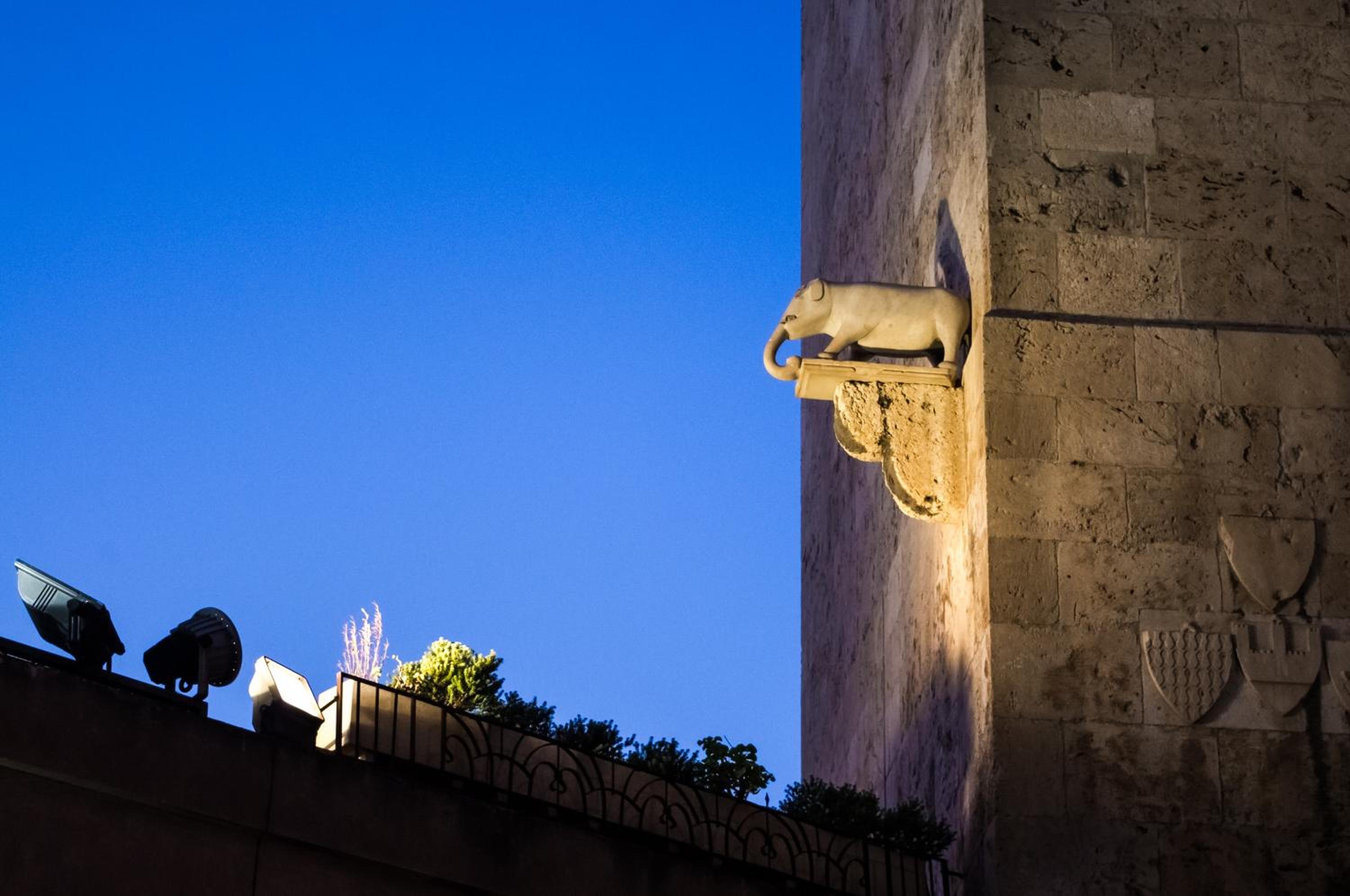 Il Gallo Bianco