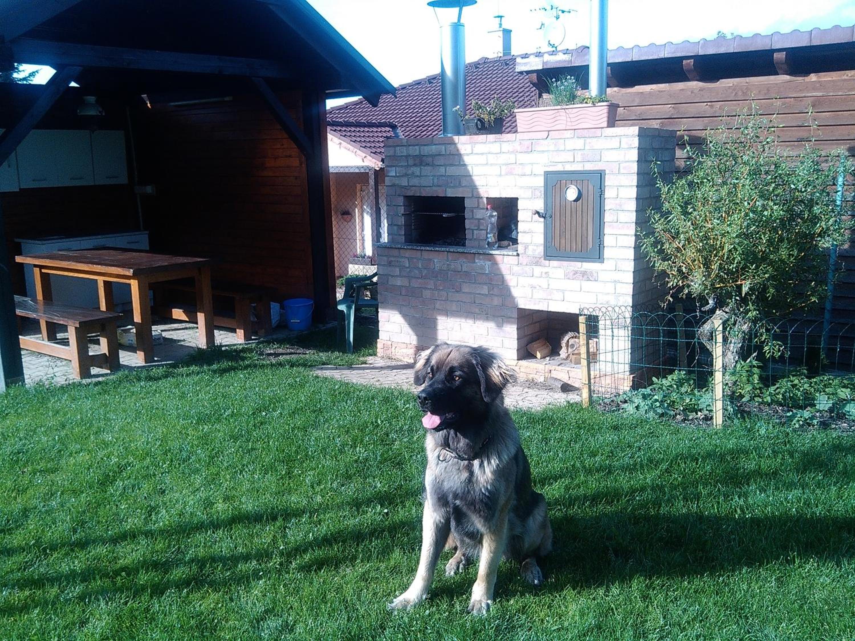 Photo 36