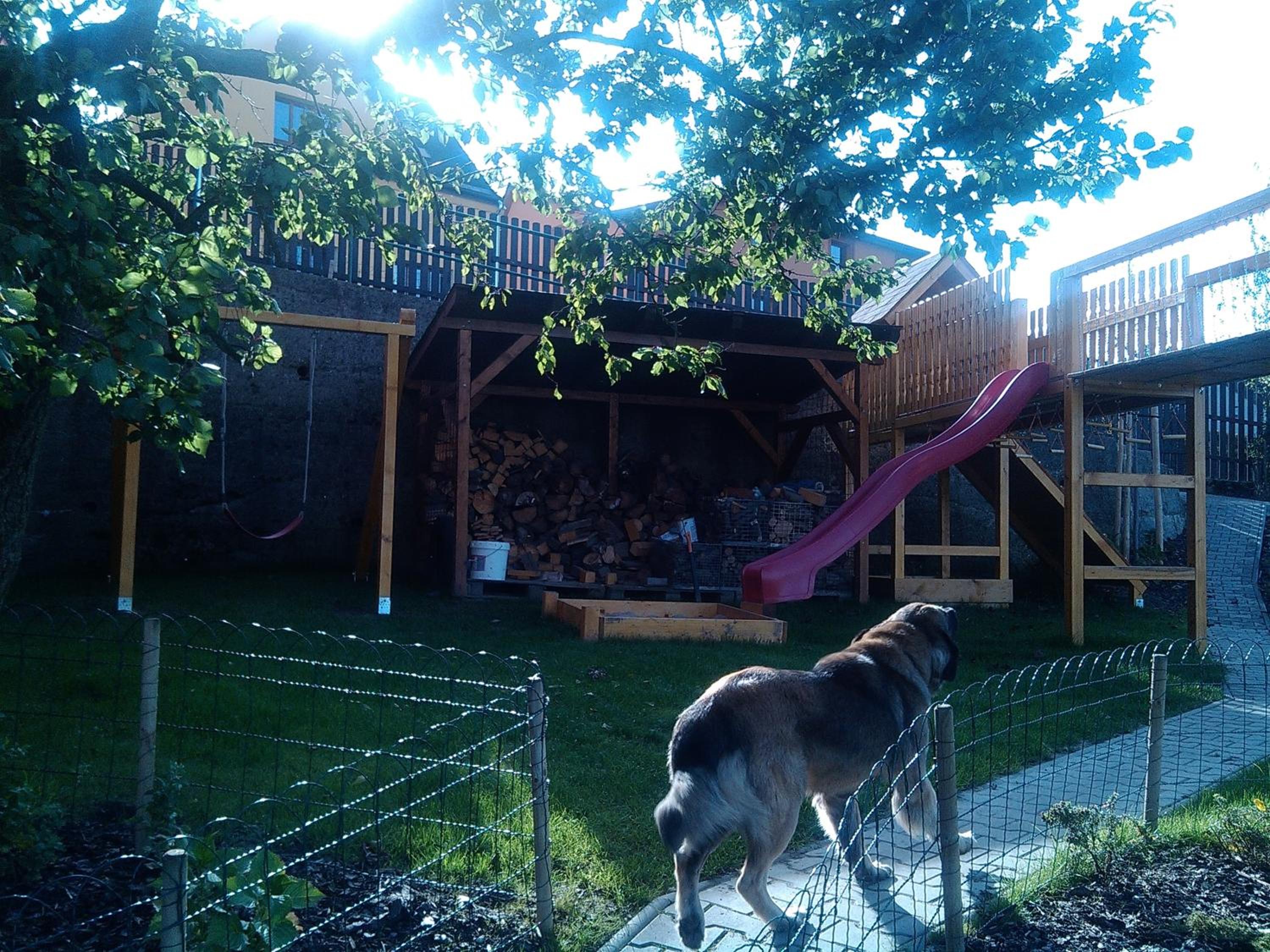 Photo 13
