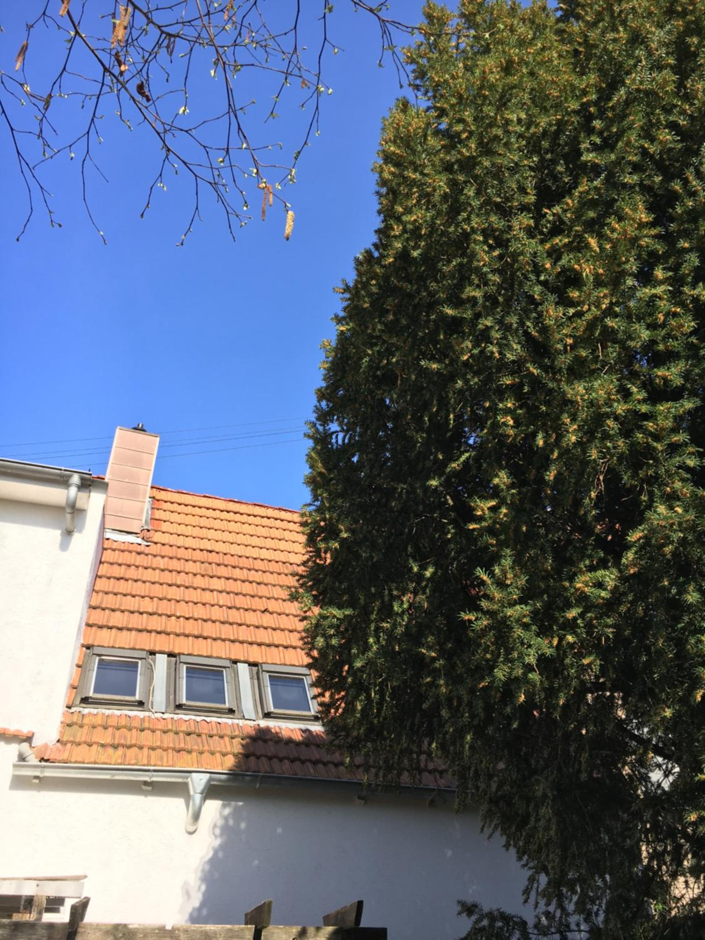 Pension Haus Baron 2 Friedrichsfeld