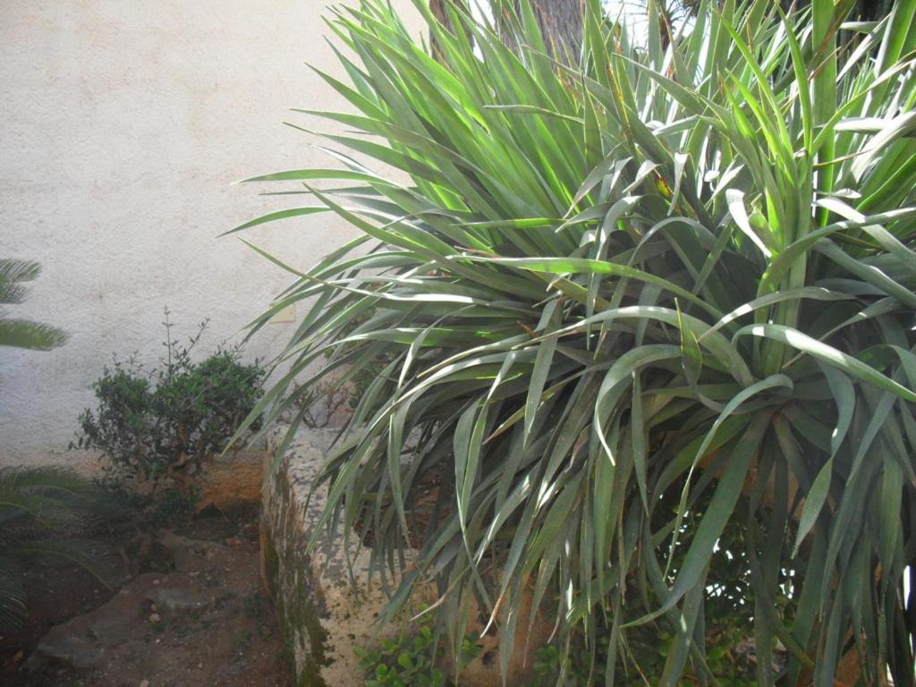 Photo 32