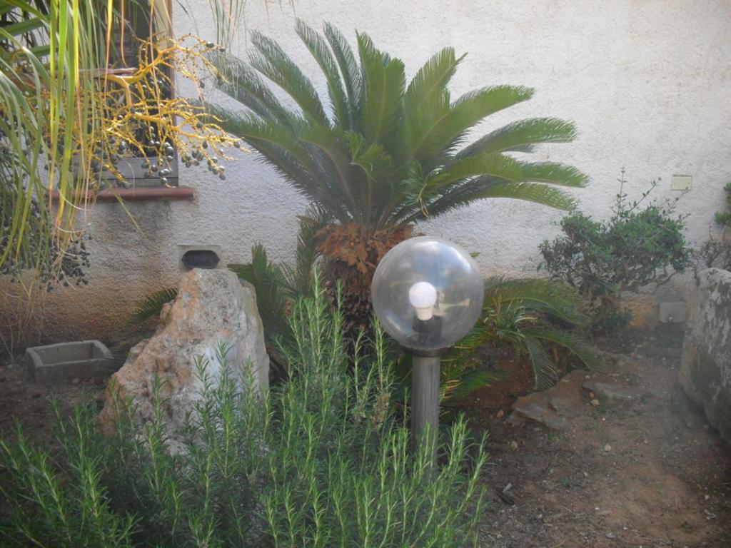 Photo 34
