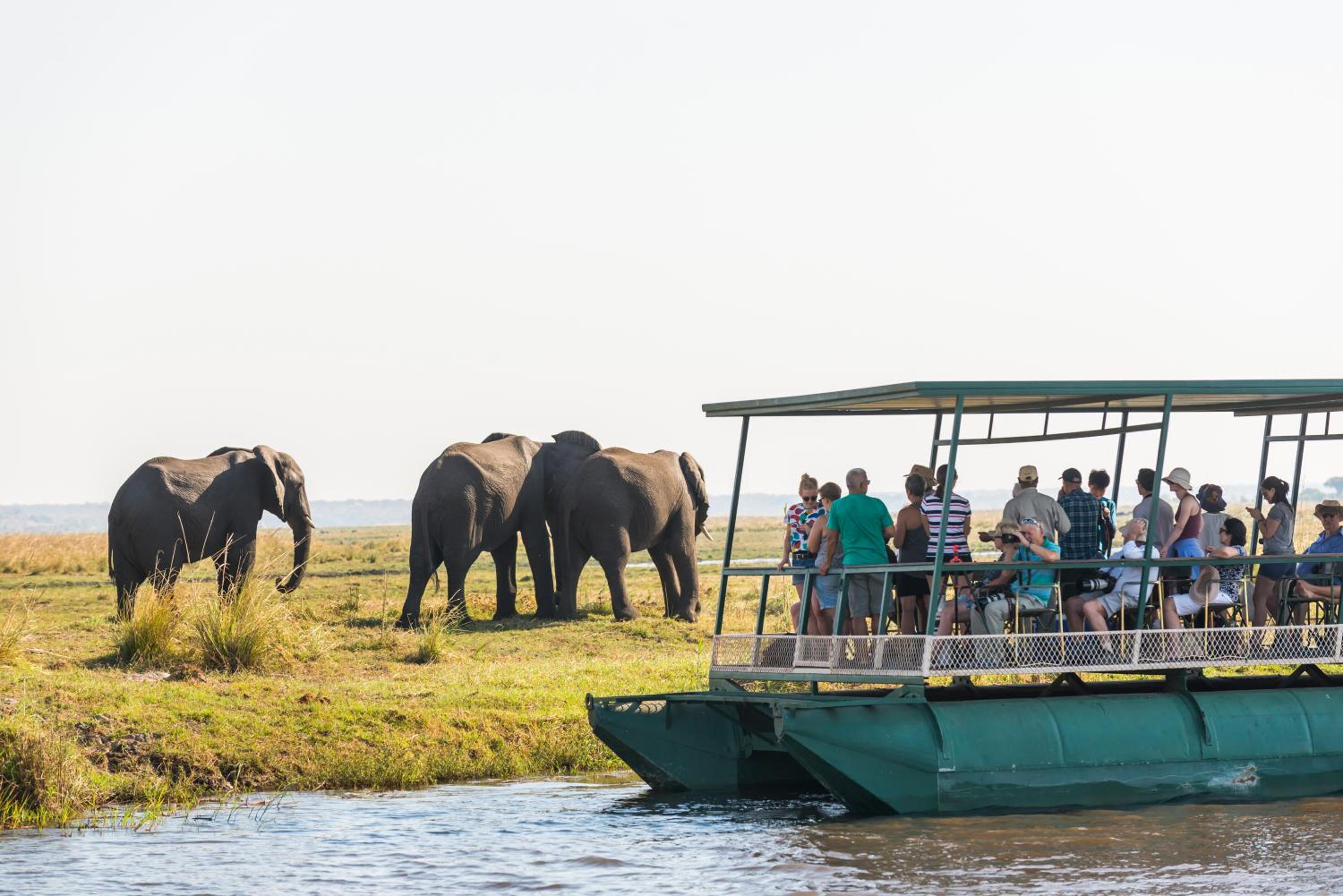 Chobe Marina Lodge