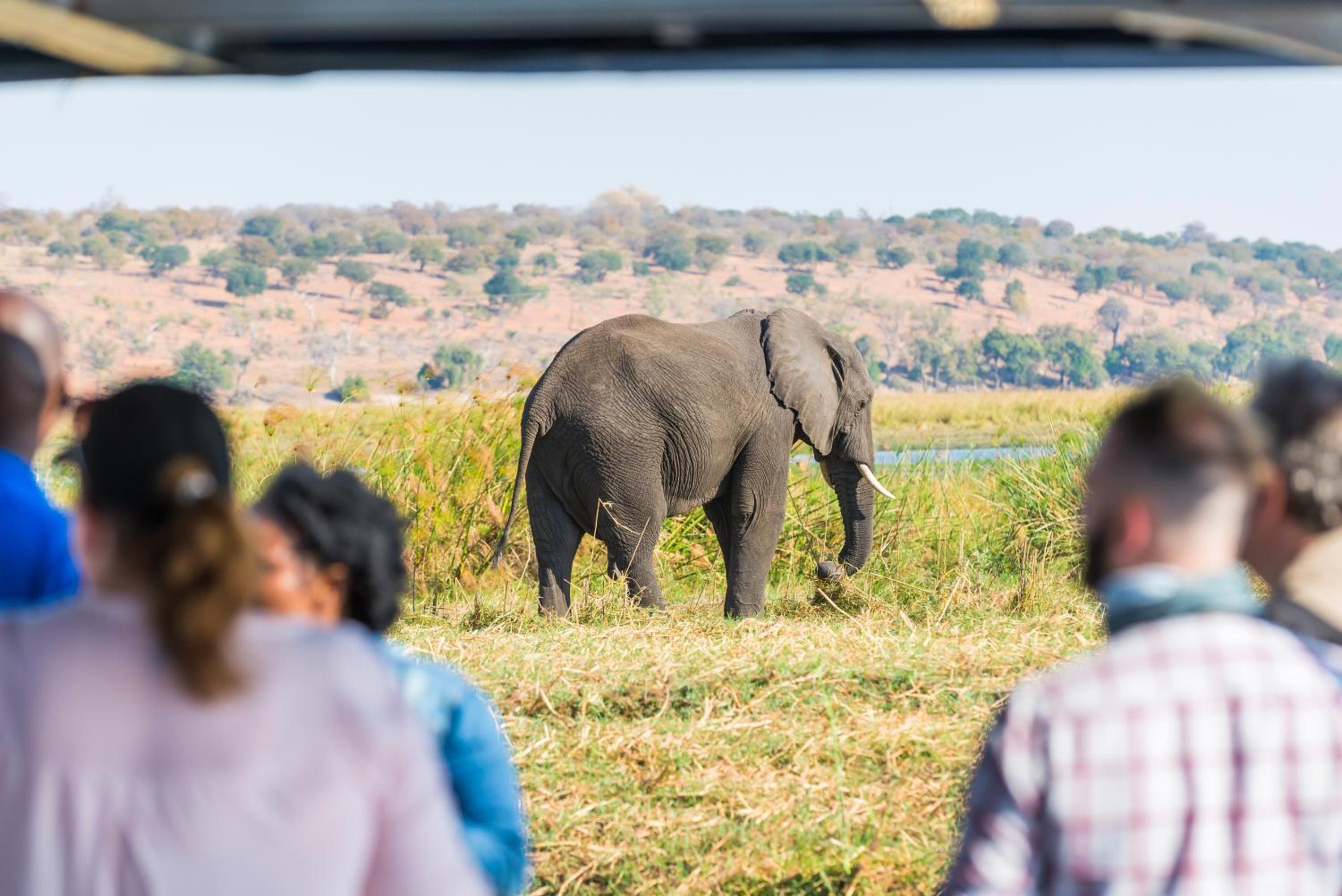 Chobe Marina Lodge