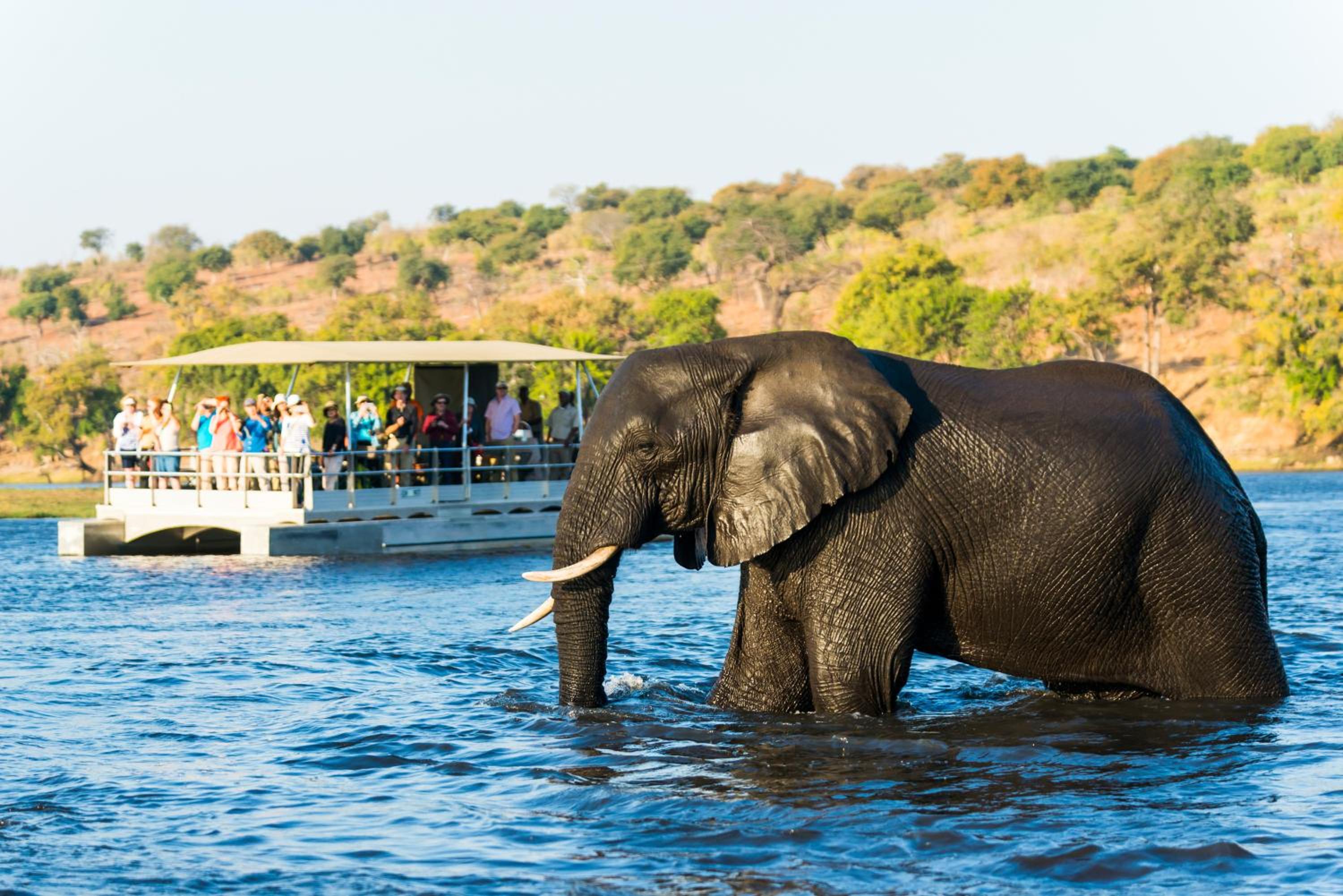 Chobe Marina Lodge
