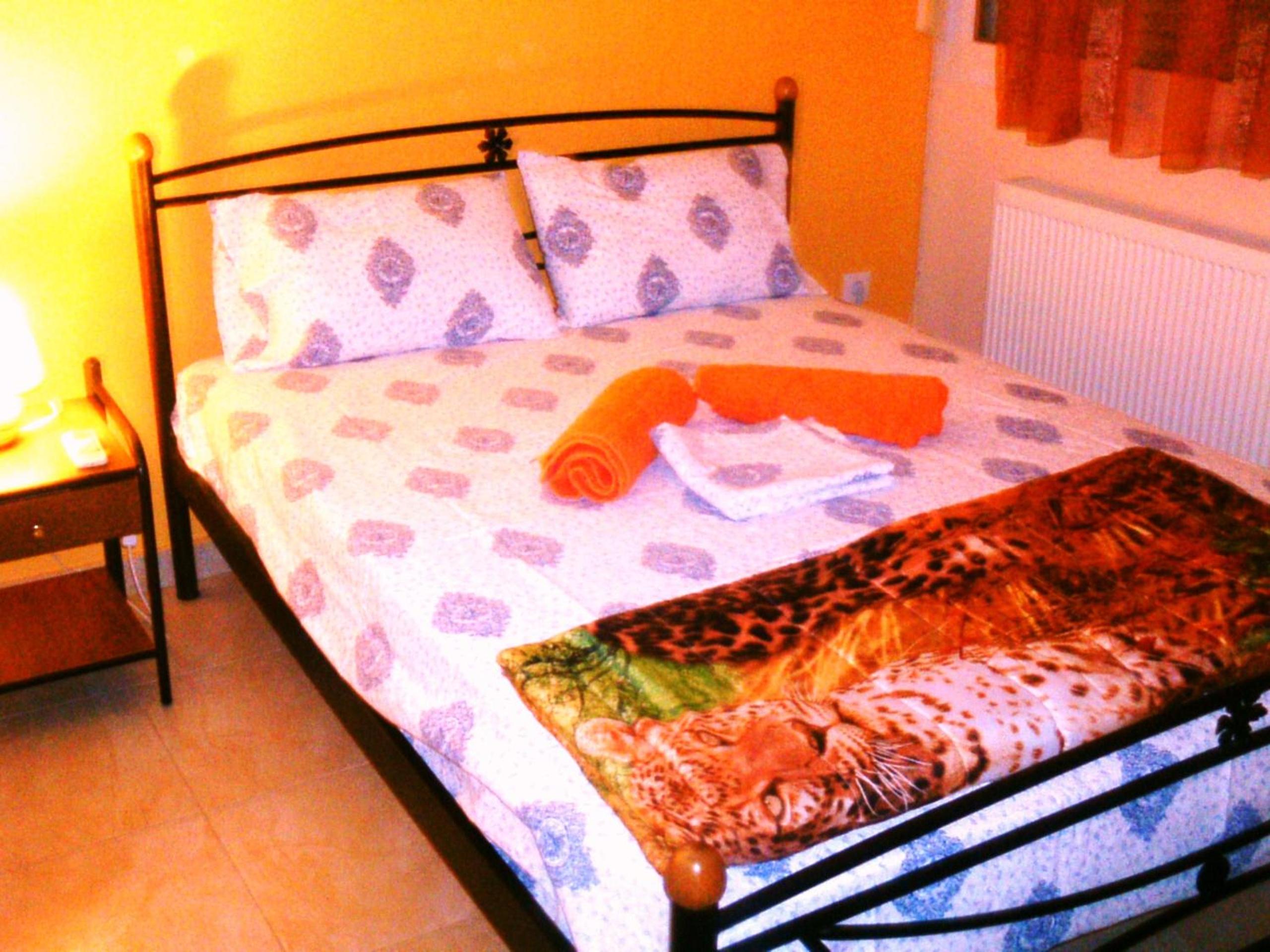 Photo 45