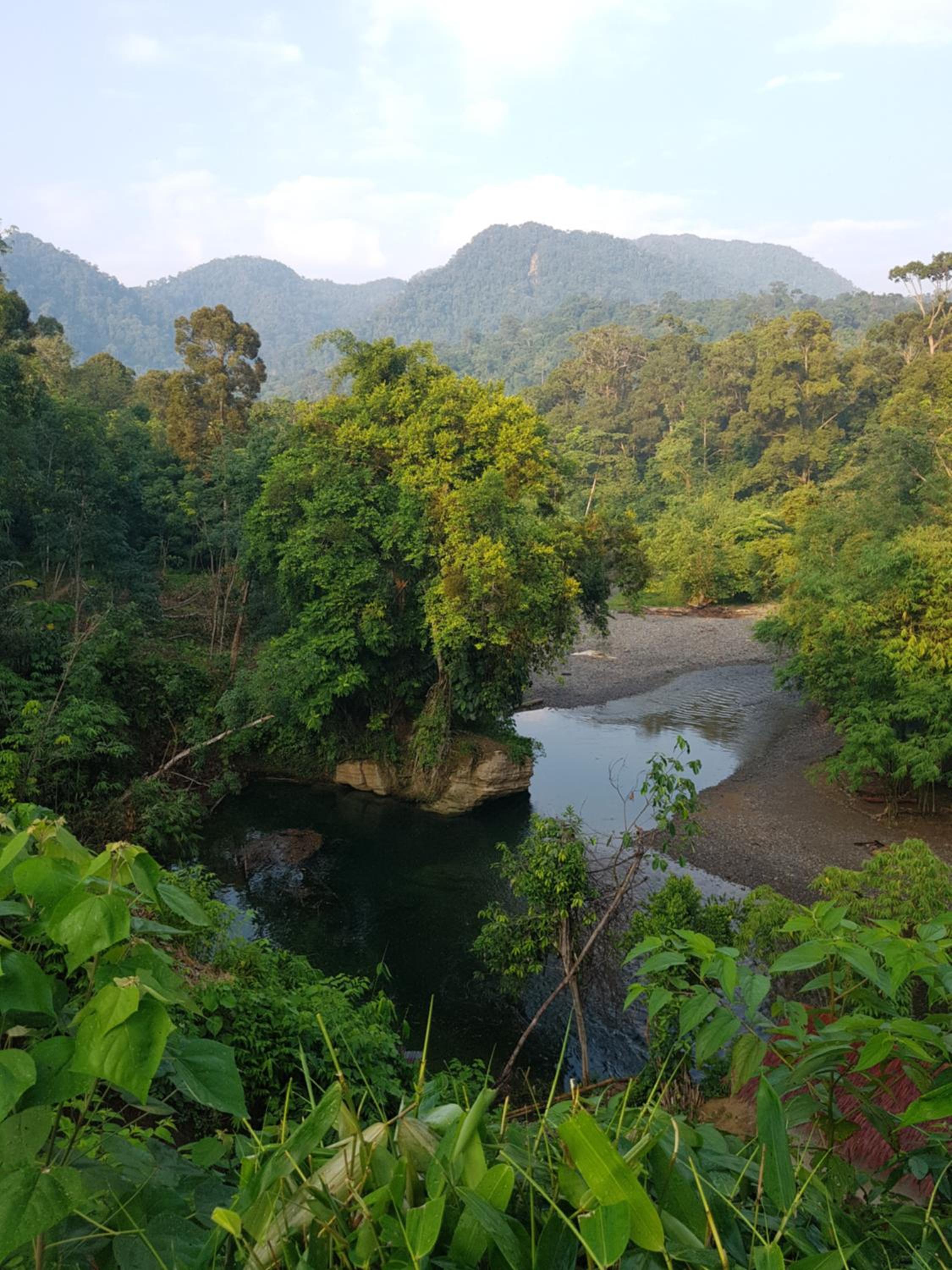 Batu Kapal Guest House & Jungle trekking