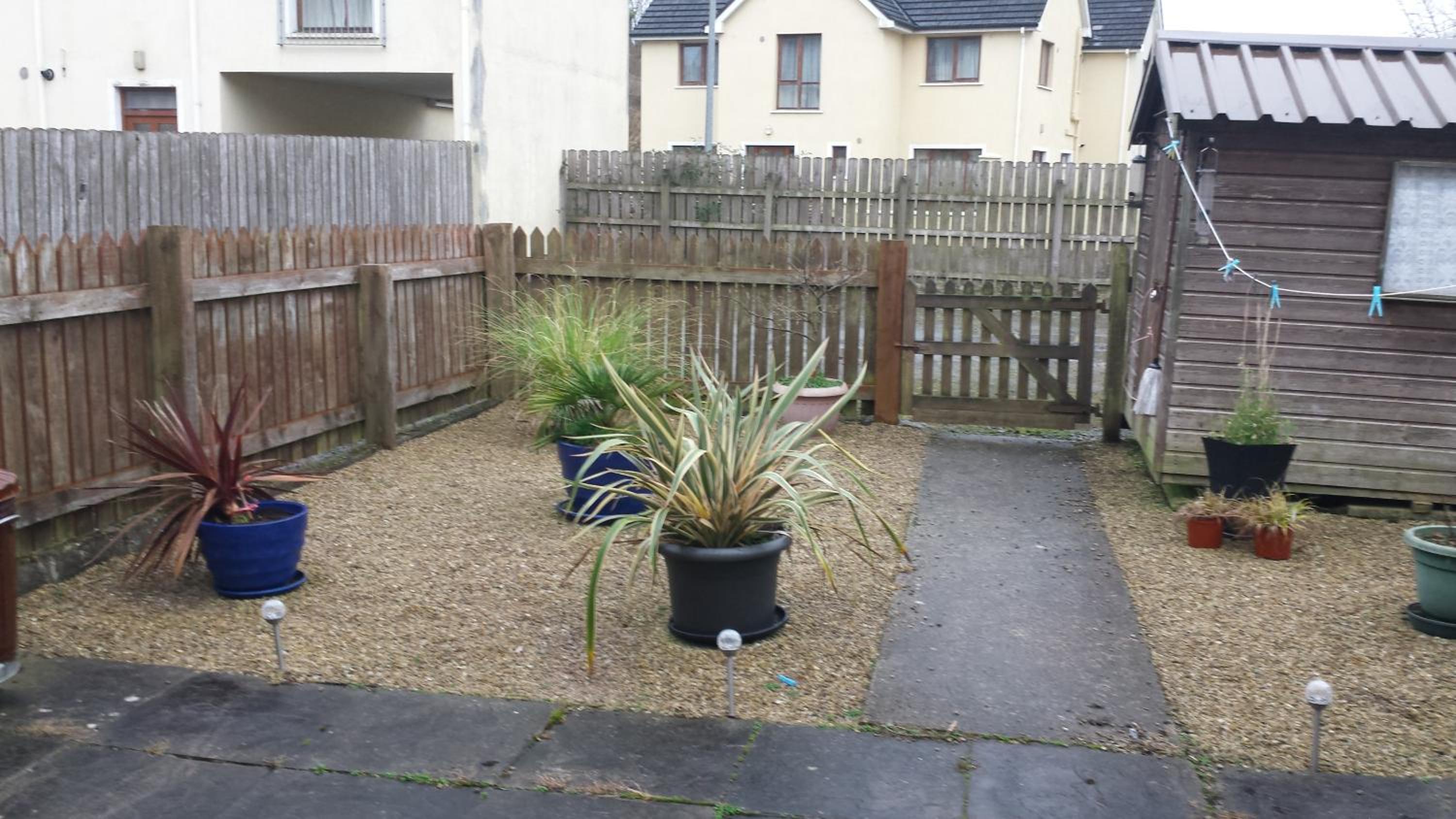 Photo 20
