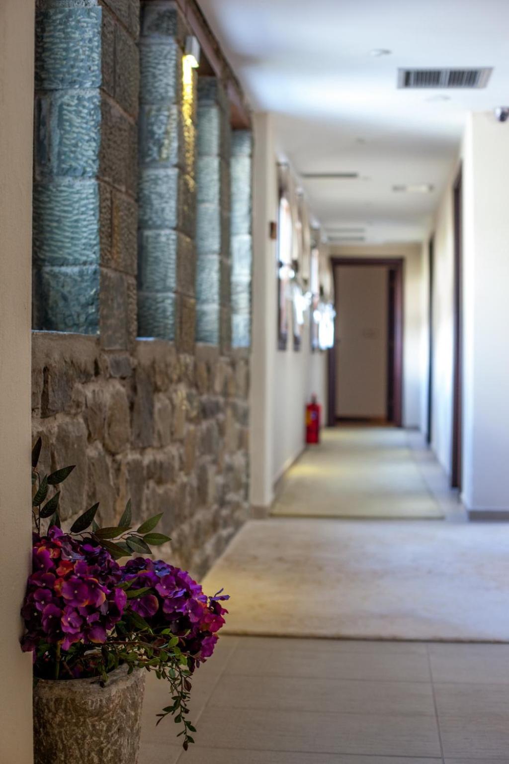 Anavasi Mountain Resort — 11