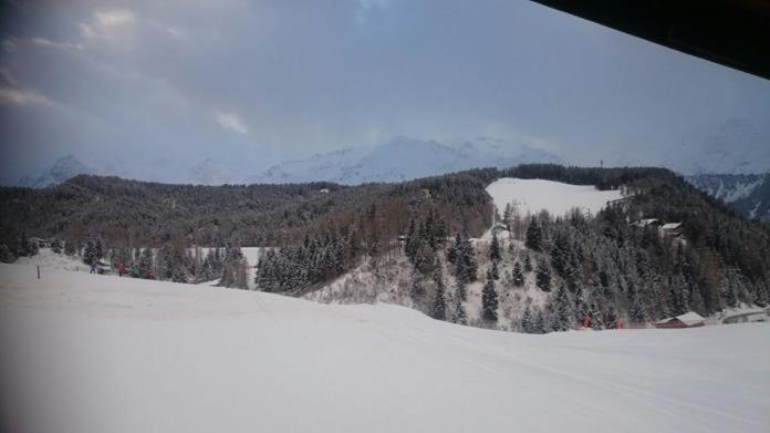 Bio-Berghof