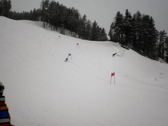 Bio-Berghof