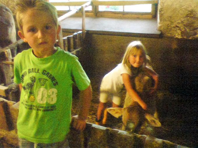 Bio-Berghof
