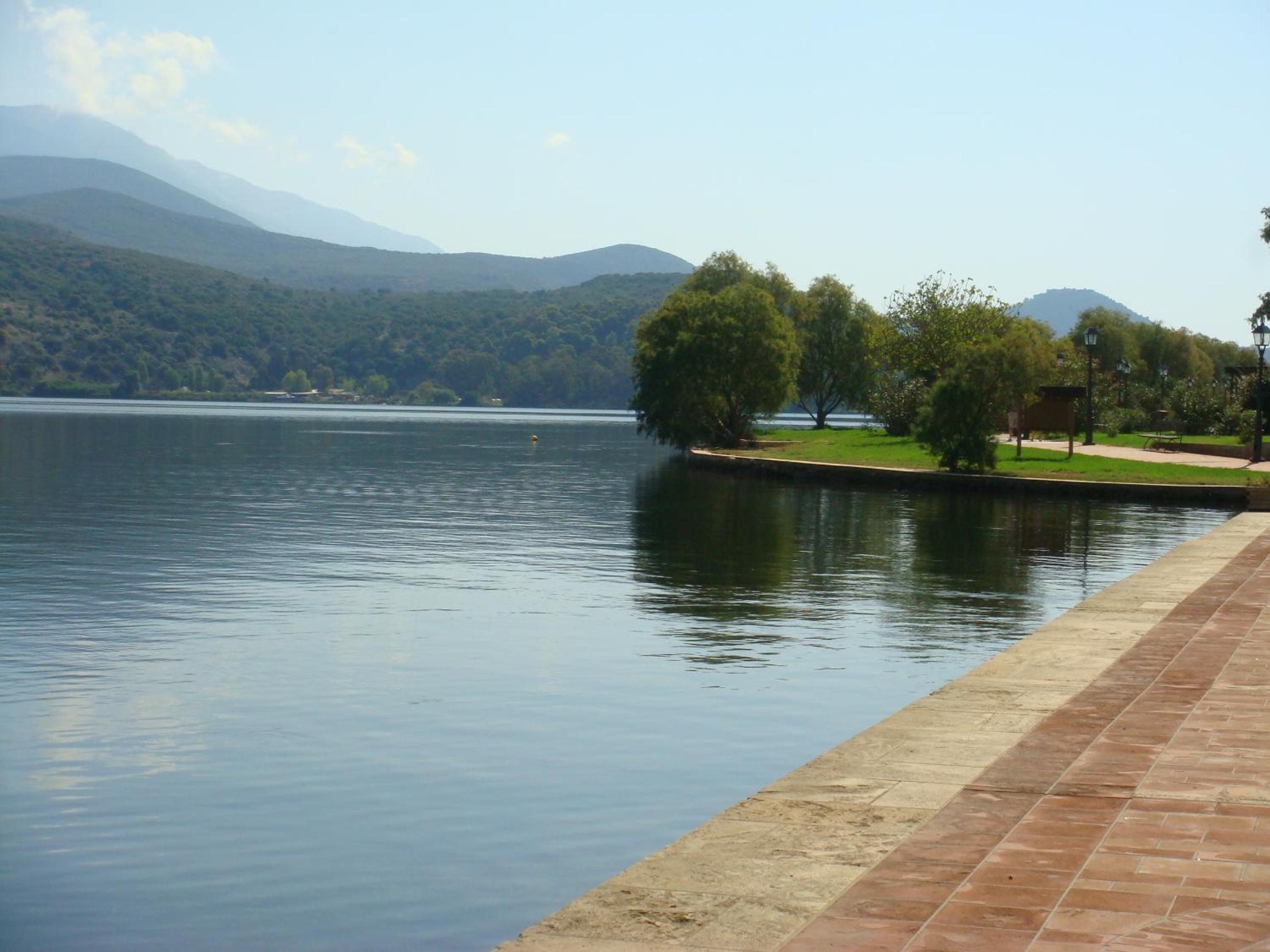 Photo 42