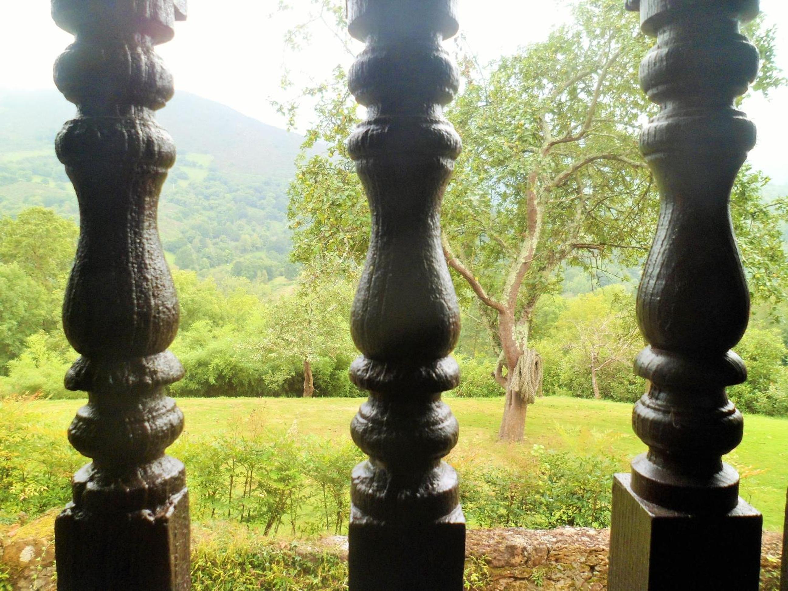 Photo 45