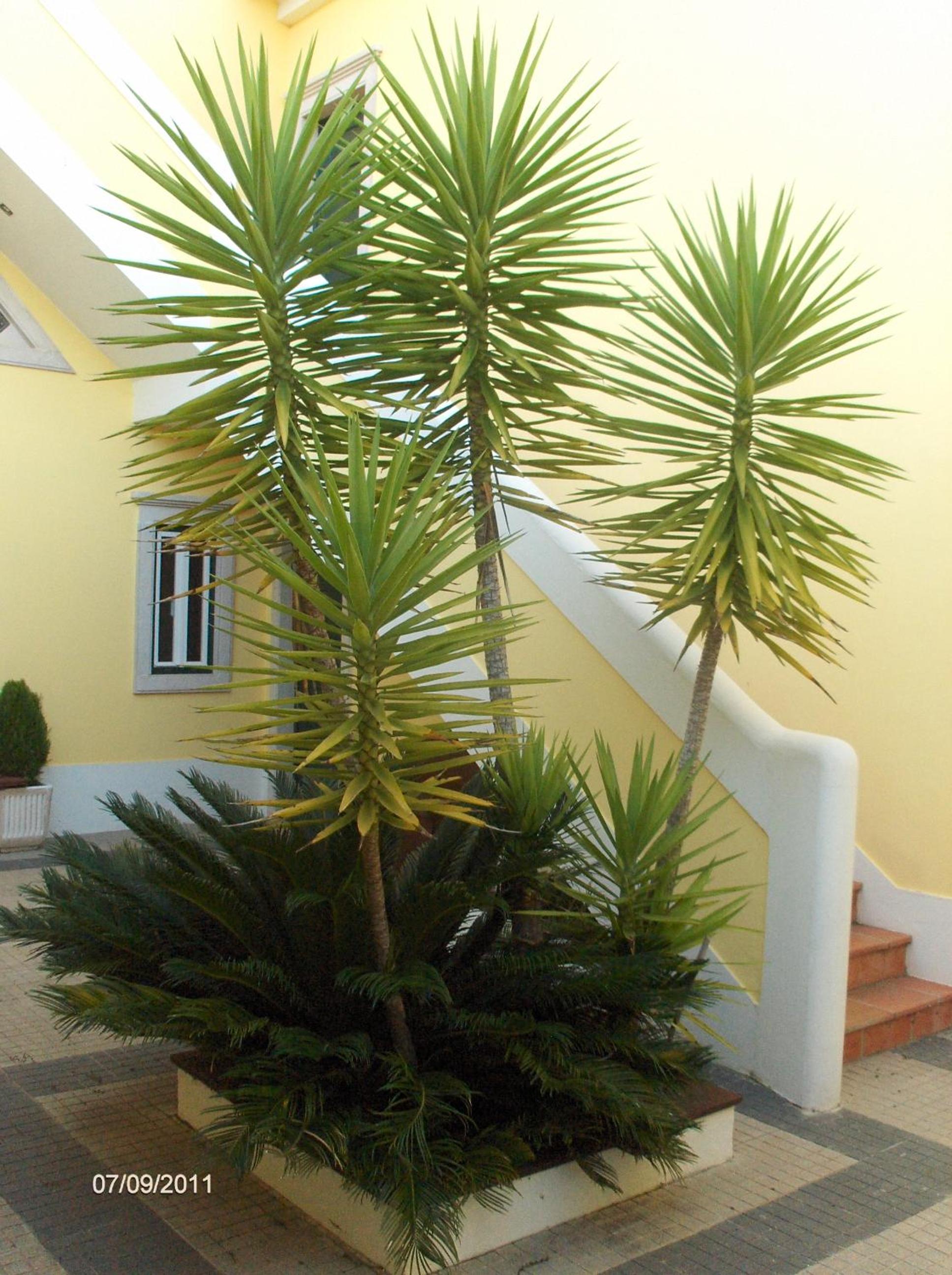 Photo 61