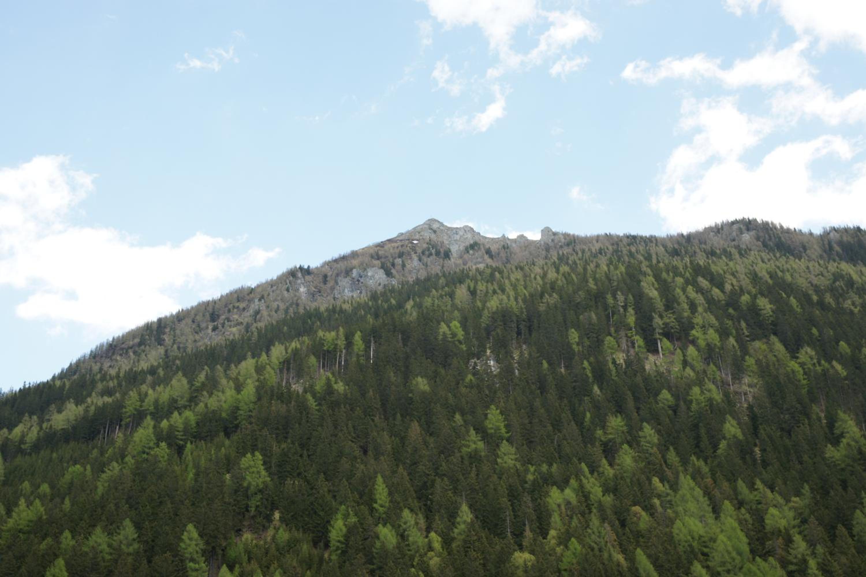 Photo 24