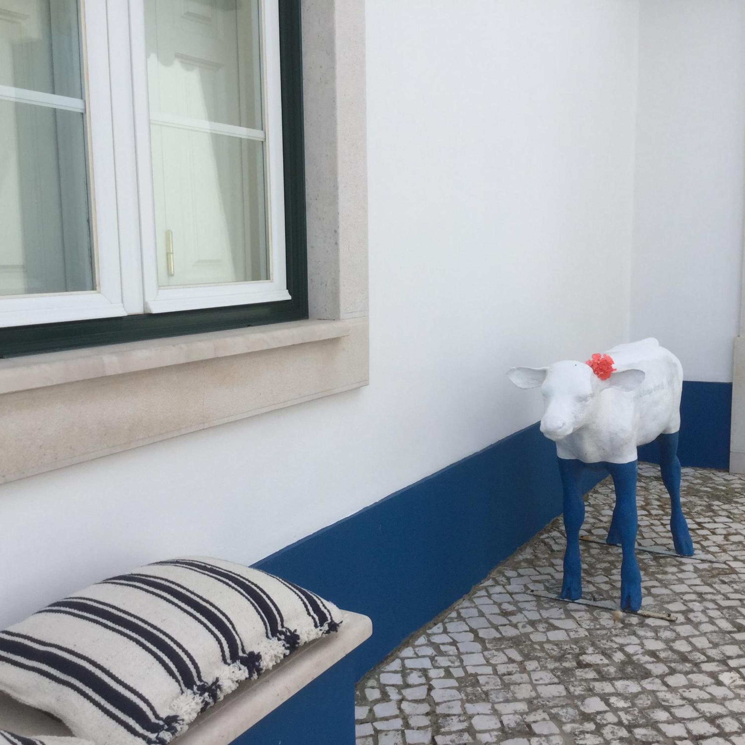 Photo 43