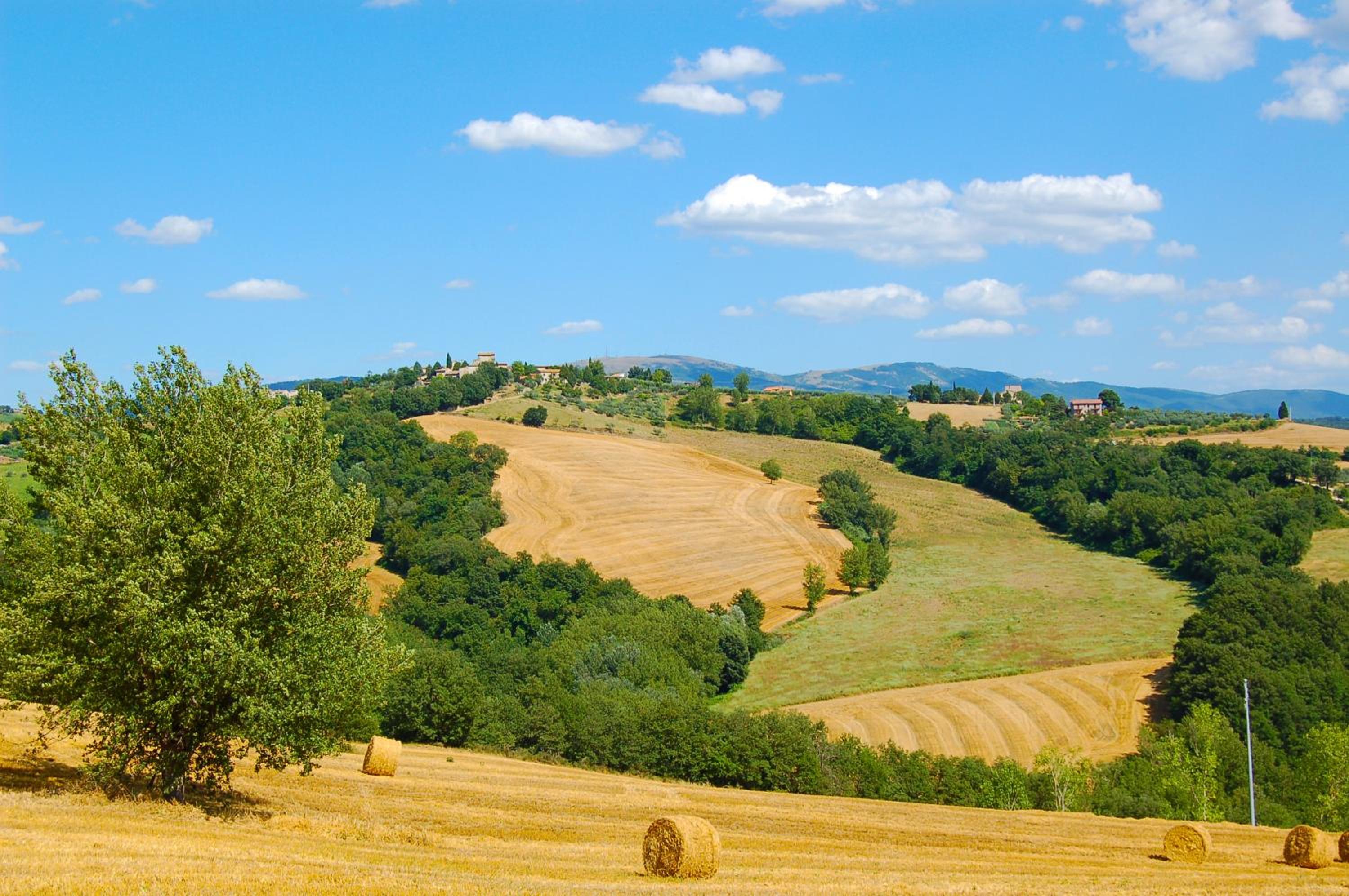 Agriturismo Casale Dei Frontini