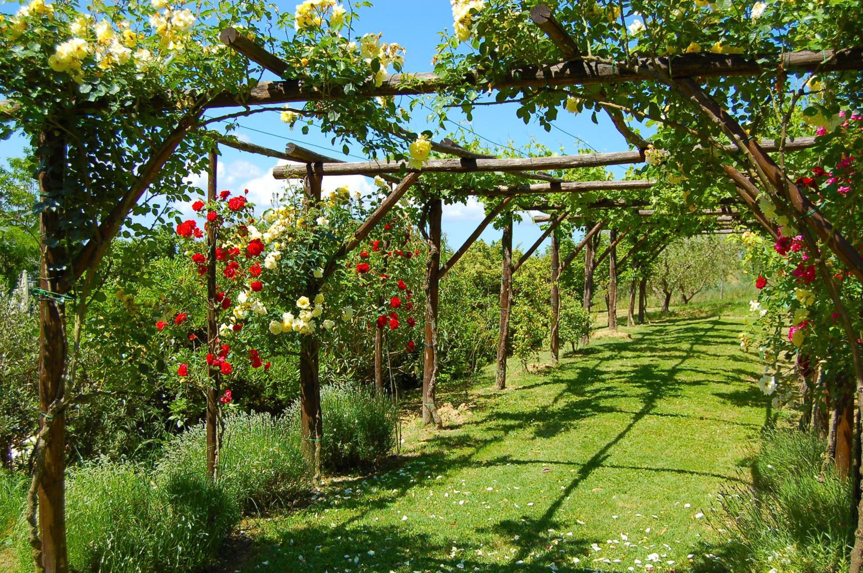 Agriturismo Casale Dei Frontini