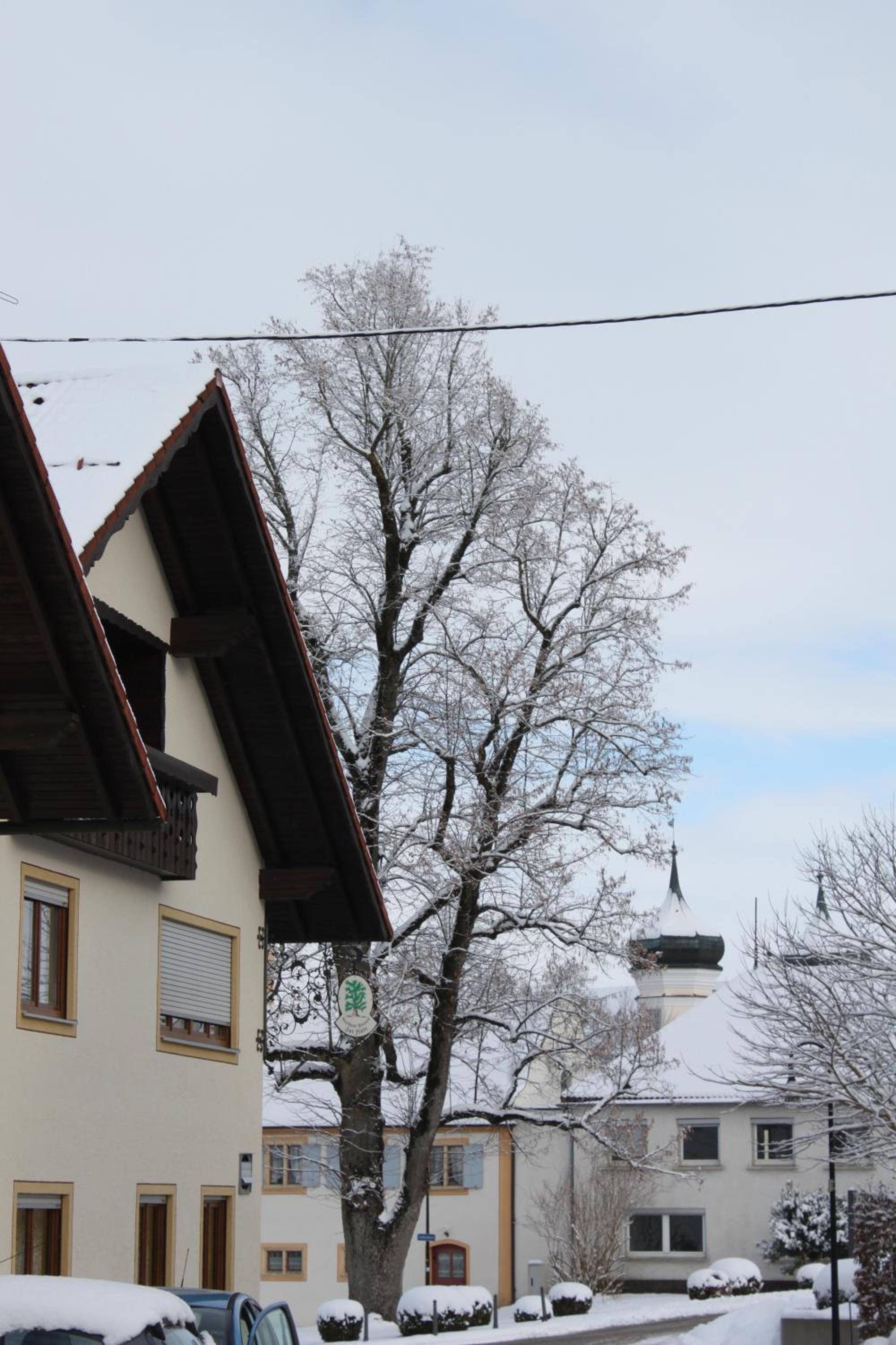 Gasthaus und Pension Zur Linde