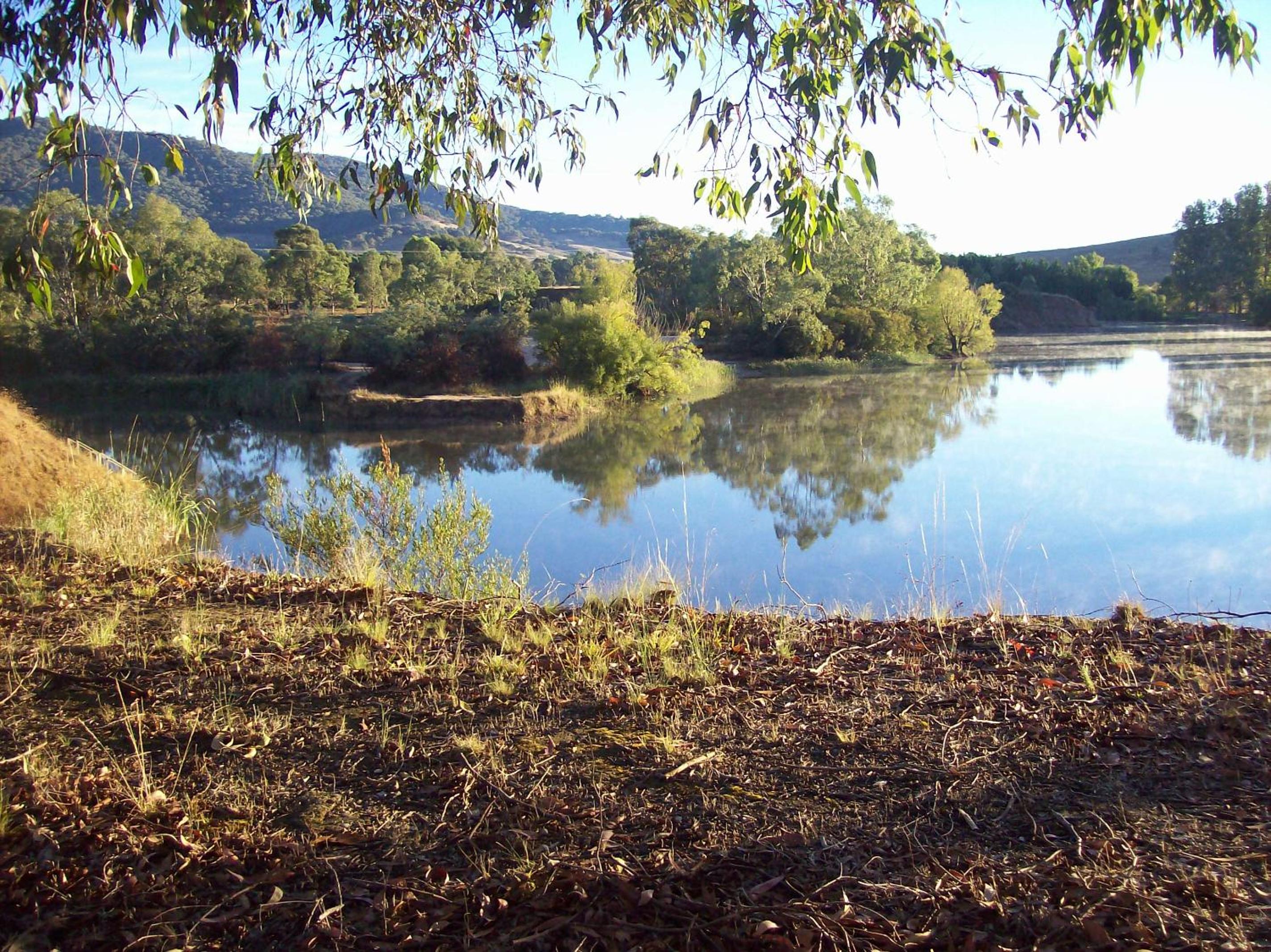 Photo 23
