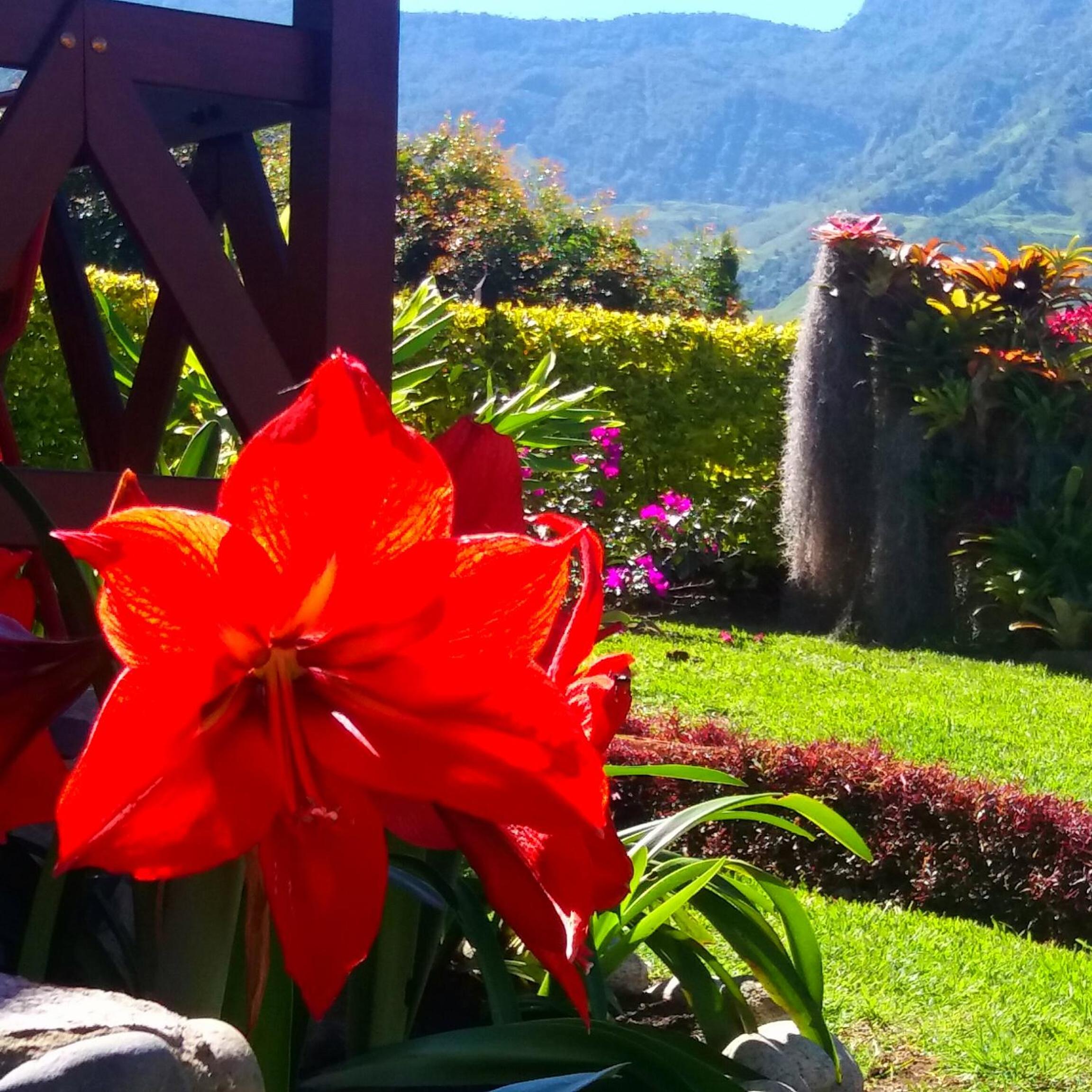 Coliving LA BOIRA