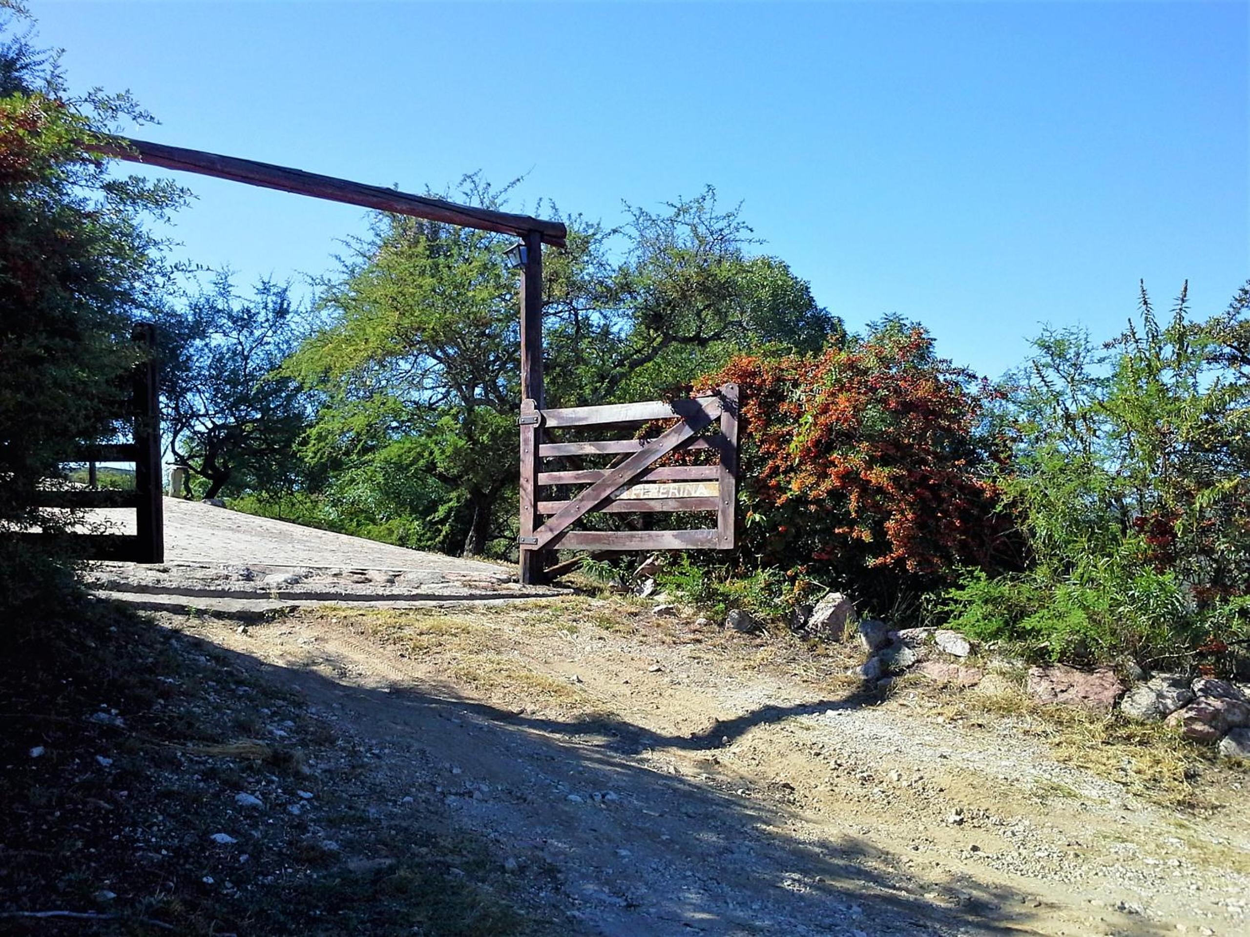 Peperina Lago Los Molinos