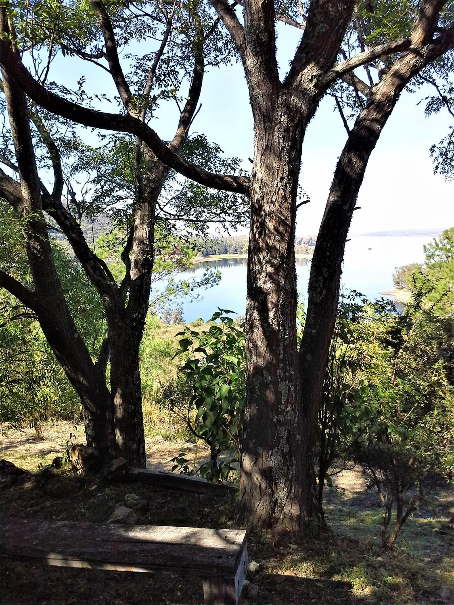 Peperina Lago Los Molinos