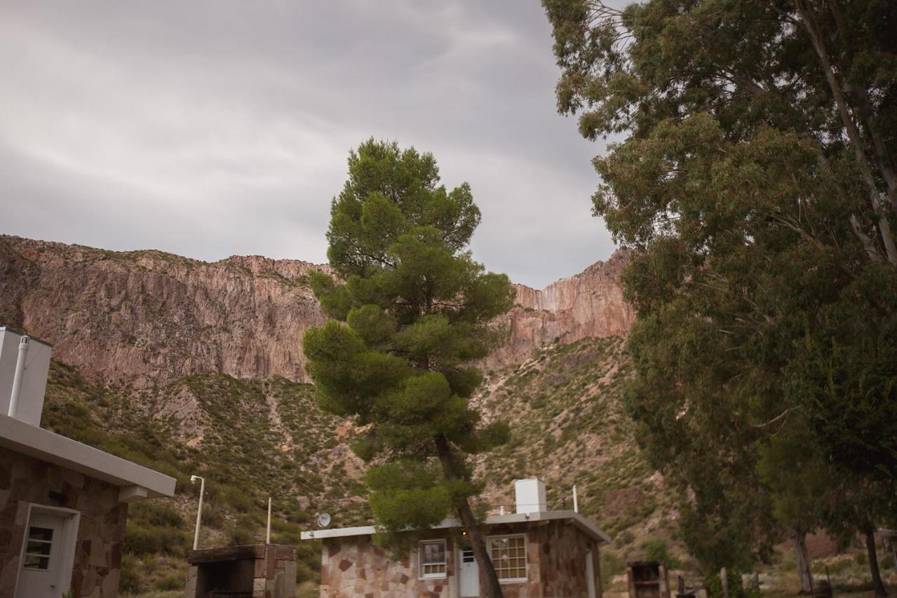 Bosque Divino Cabañas & Suites
