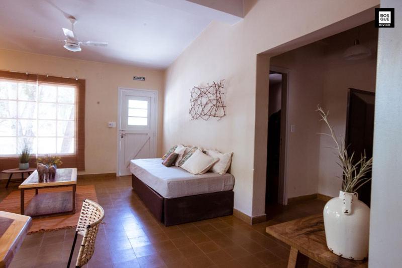 Bosque Divino Cabañas & Suites