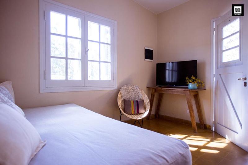 Bosque Divino Cabañas & Suites