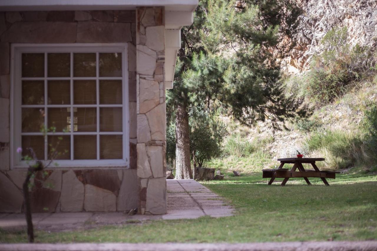 Bosque Divino Cabañas & Suites