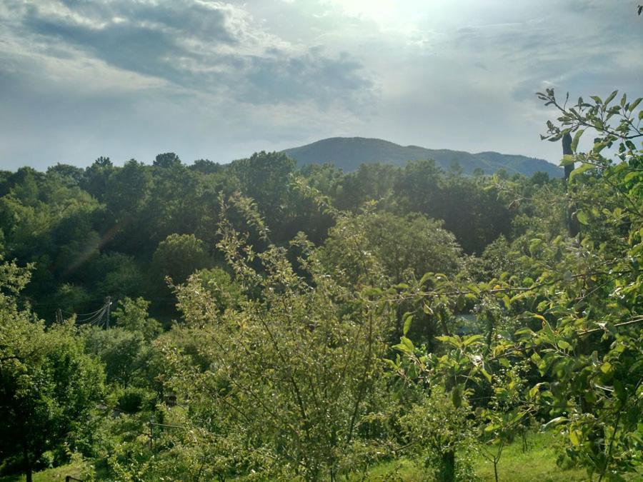 Country House Kosiv, photo 20