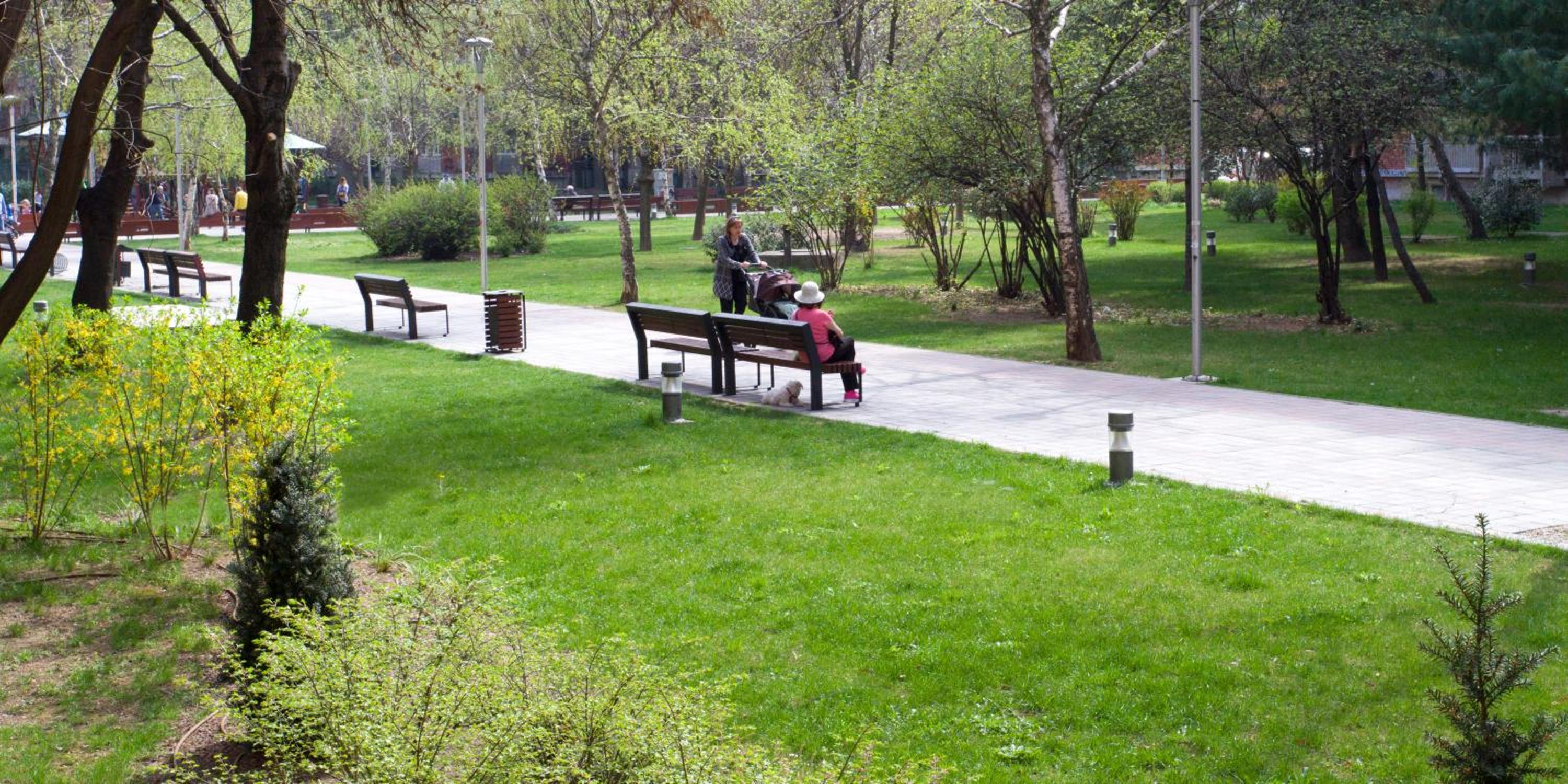 Photo 45