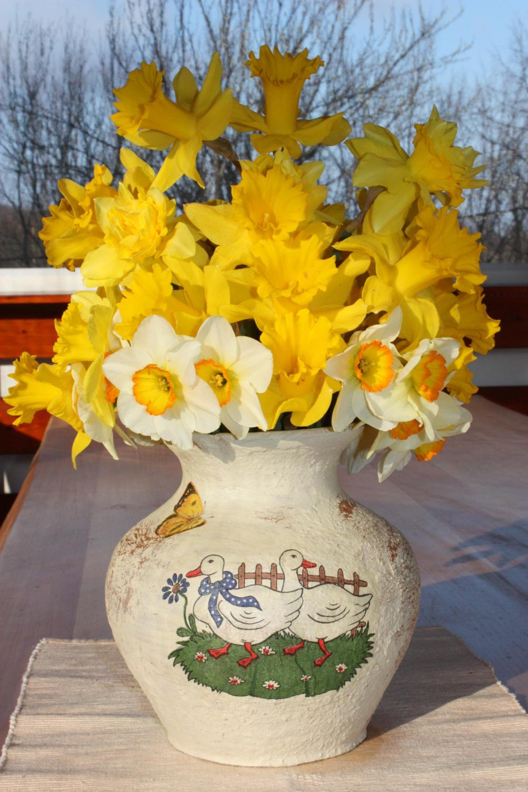 Photo 46