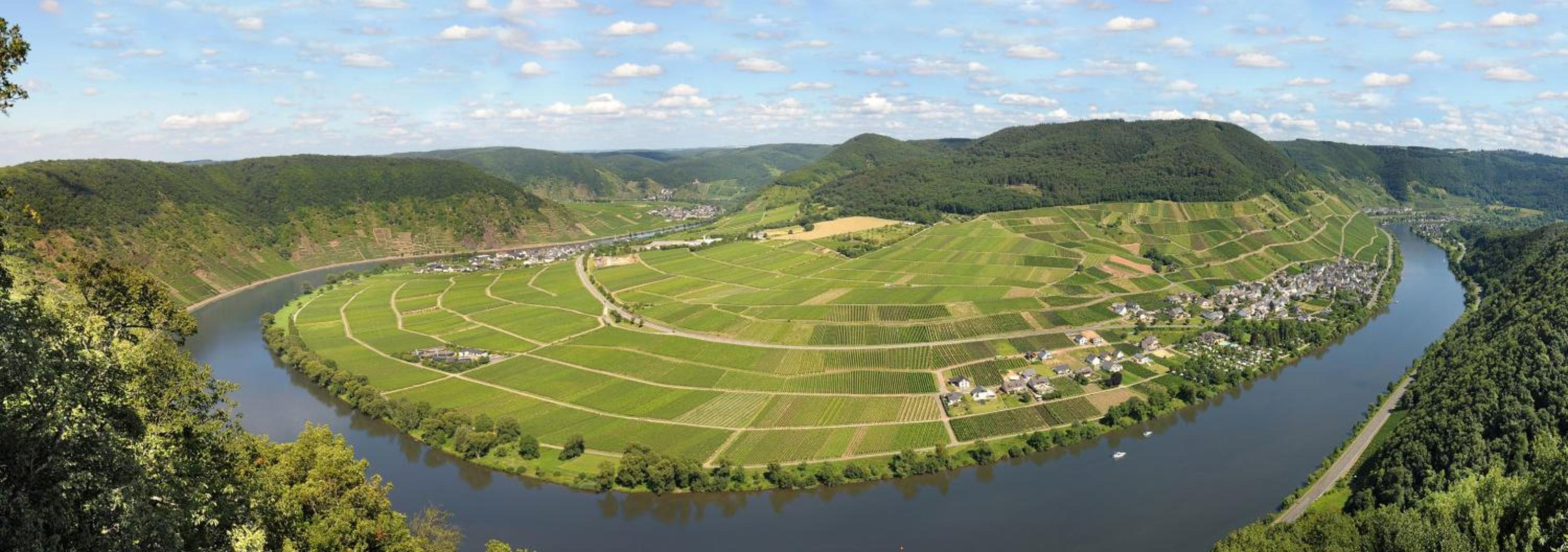 Hirschen-Schuster