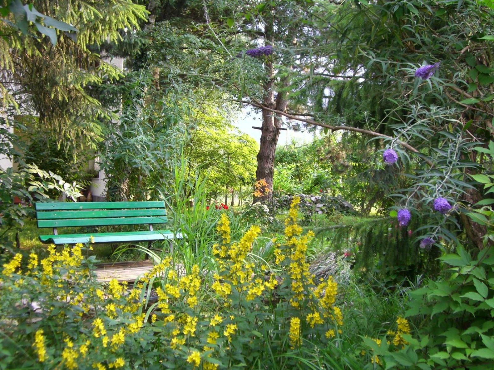 Photo 28