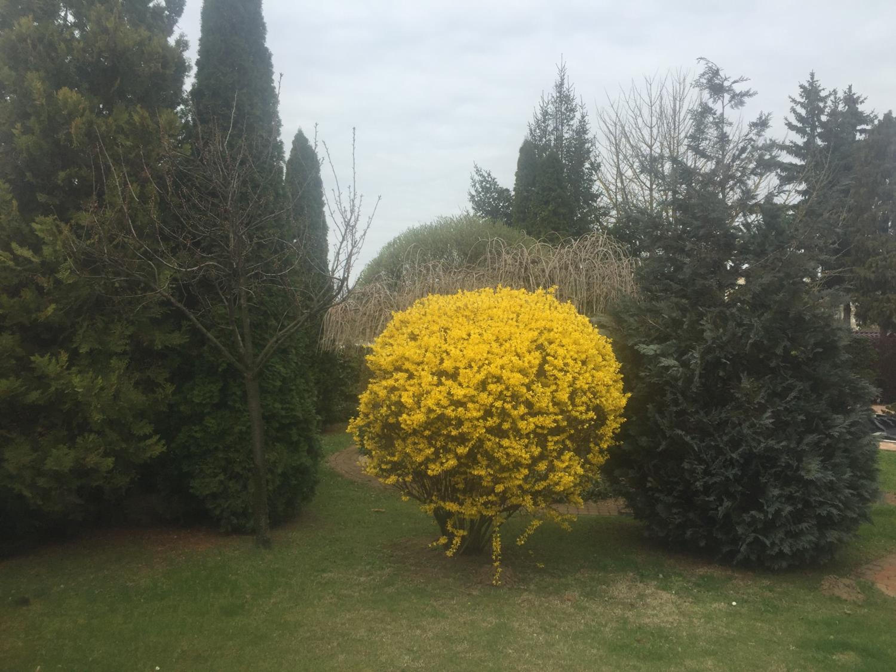 Photo 48