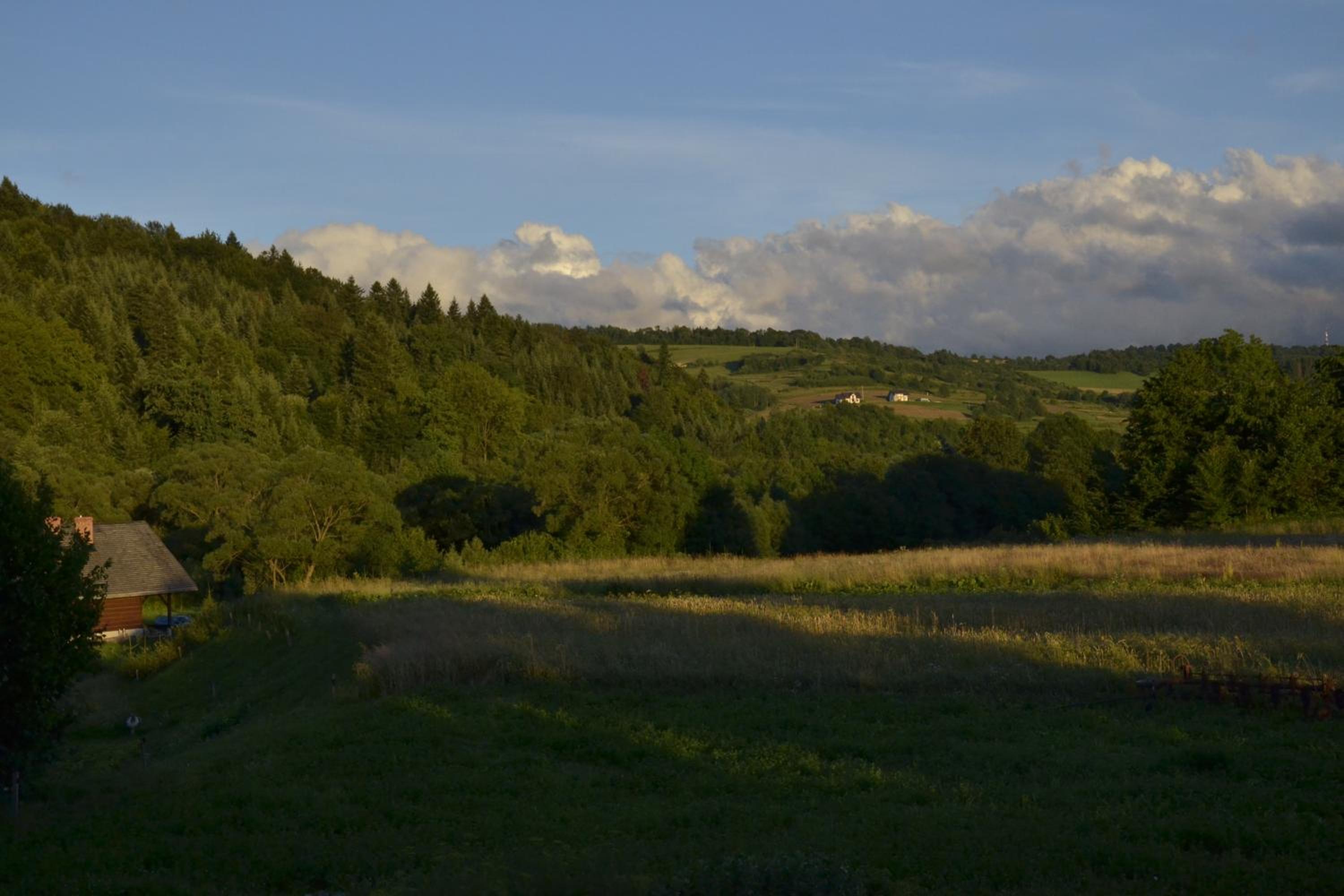Photo 34