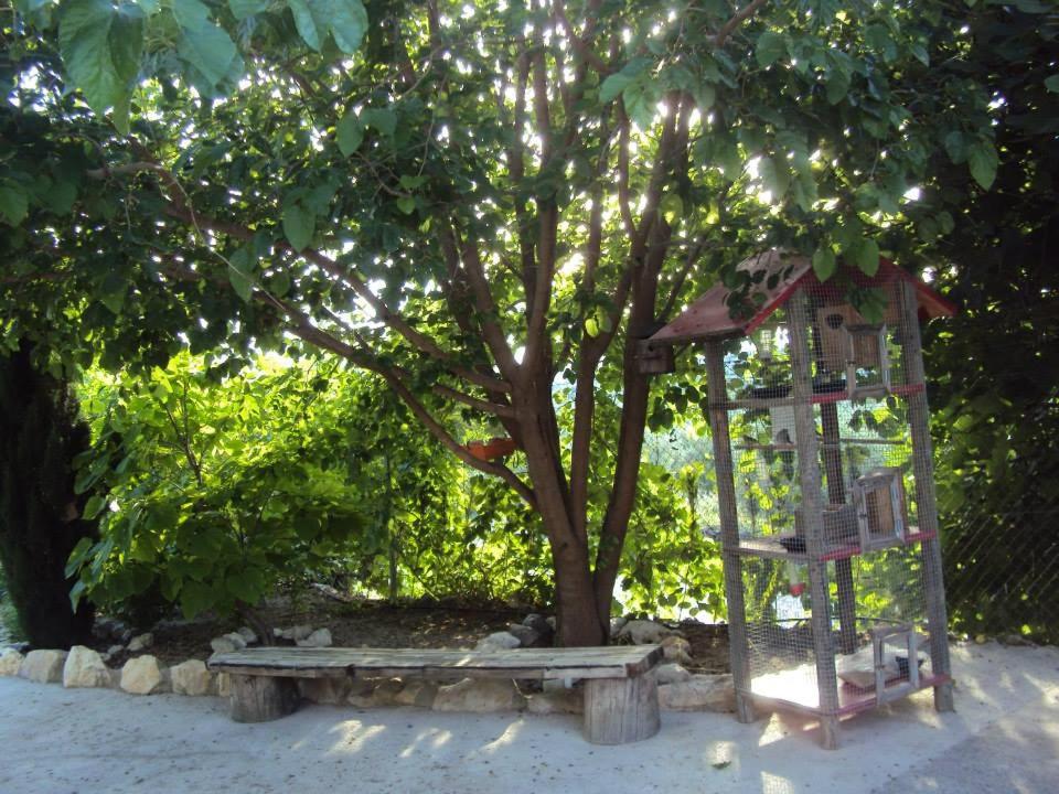 Photo 24