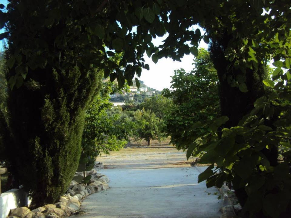 Photo 27