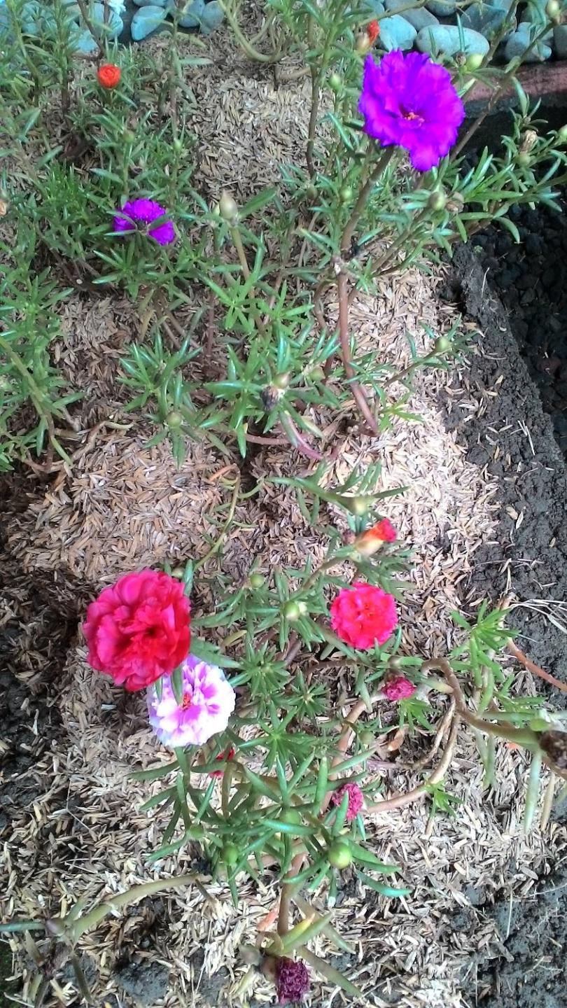 Photo 34