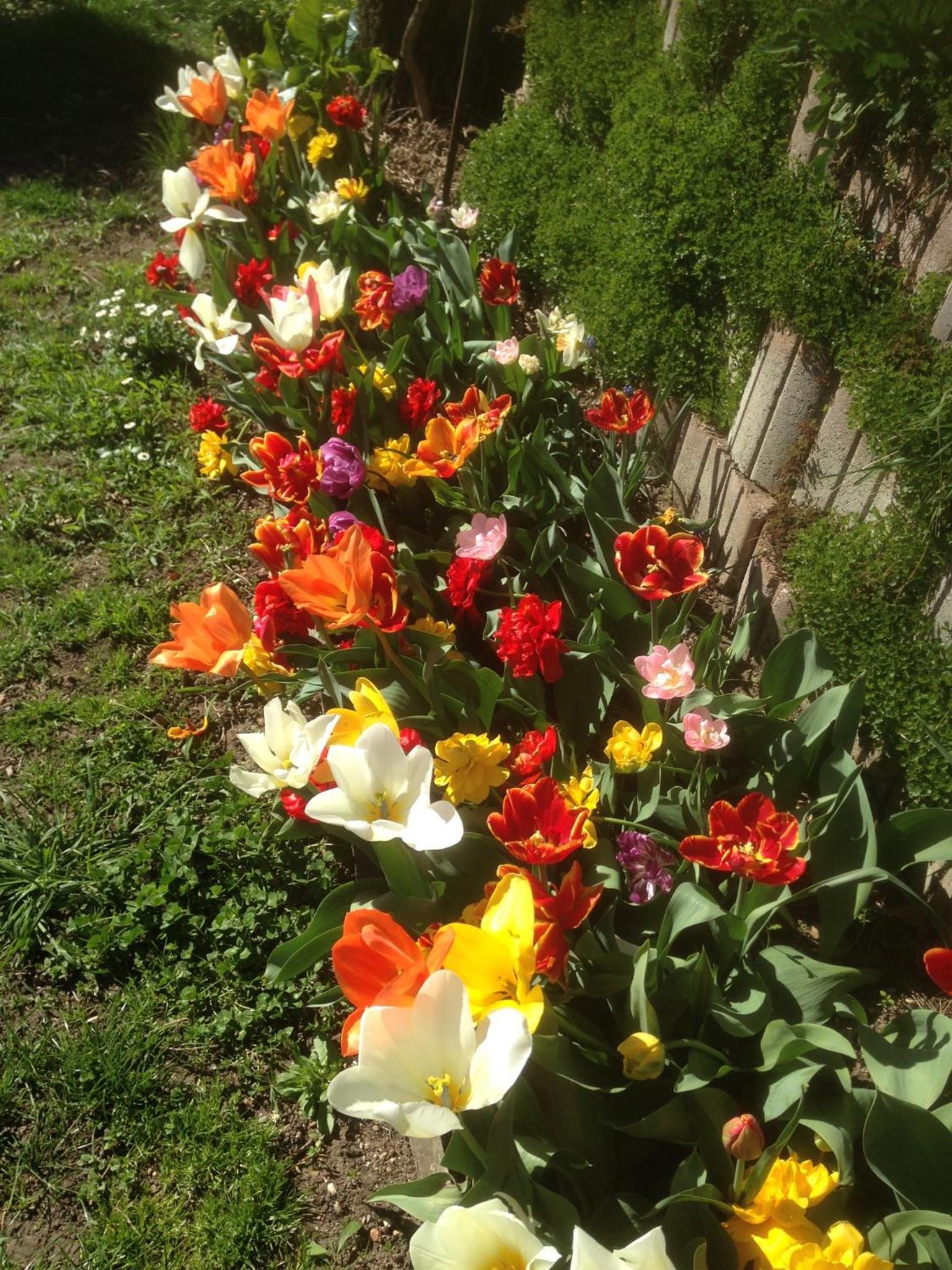 Photo 29