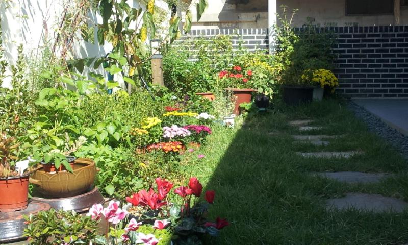 Photo 44