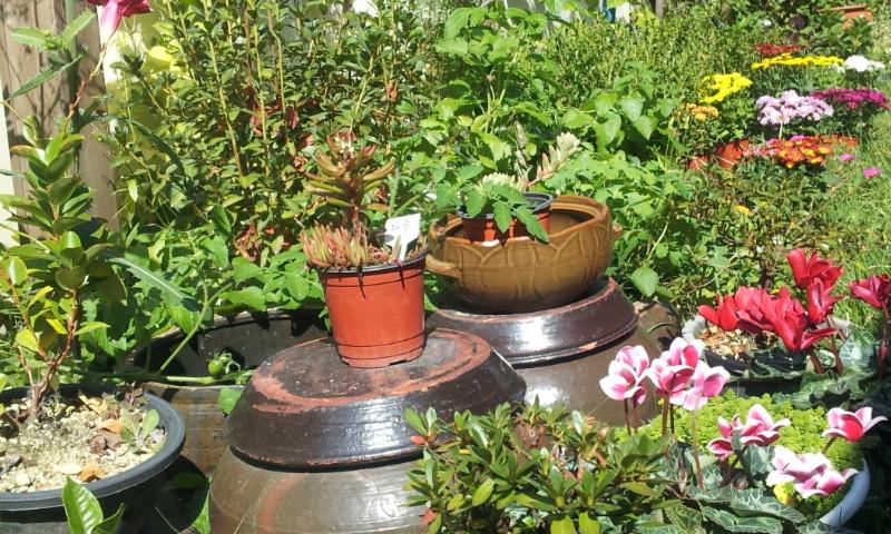 Photo 43